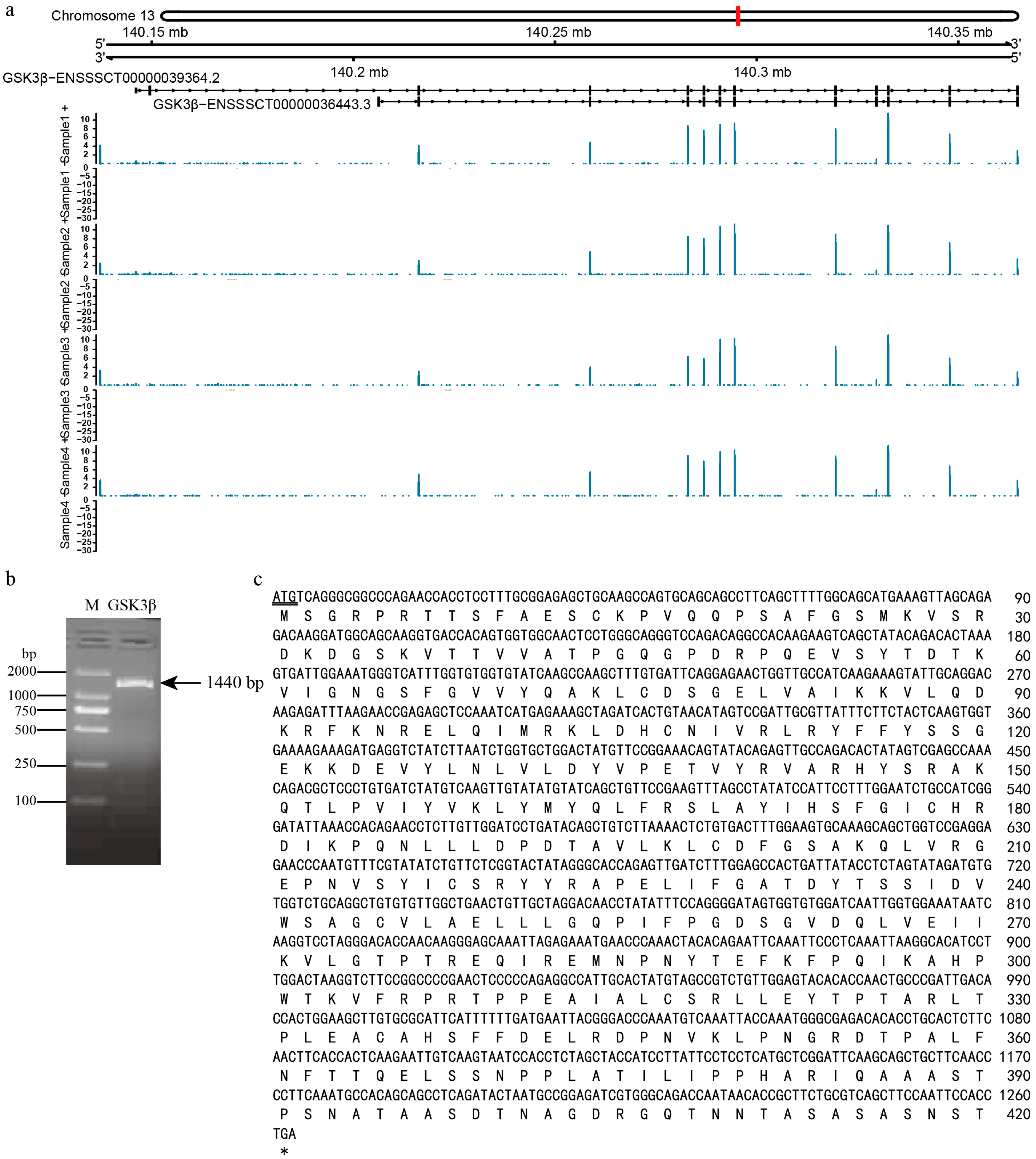 Genes 15 00655 g002