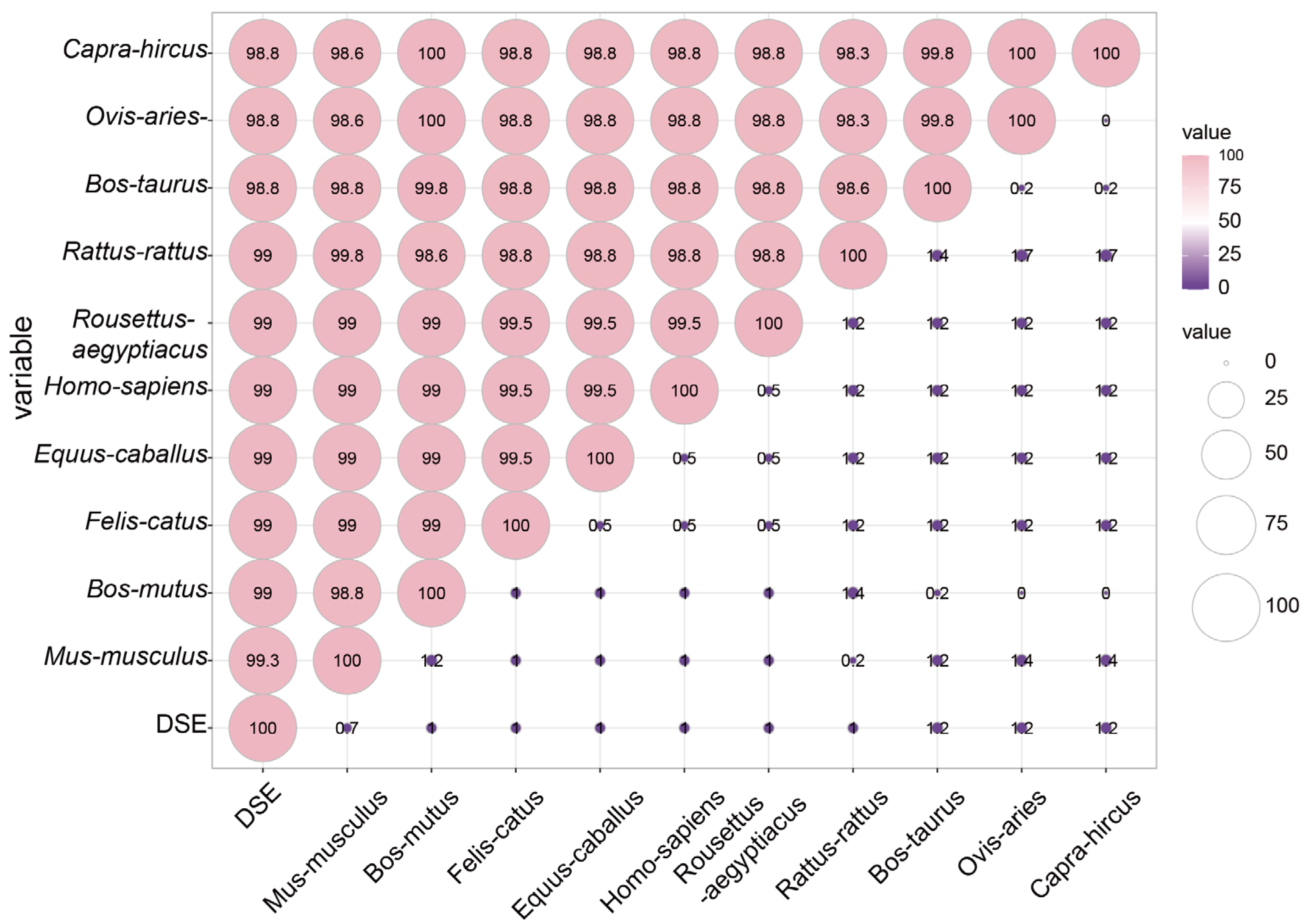 Genes 15 00655 g003