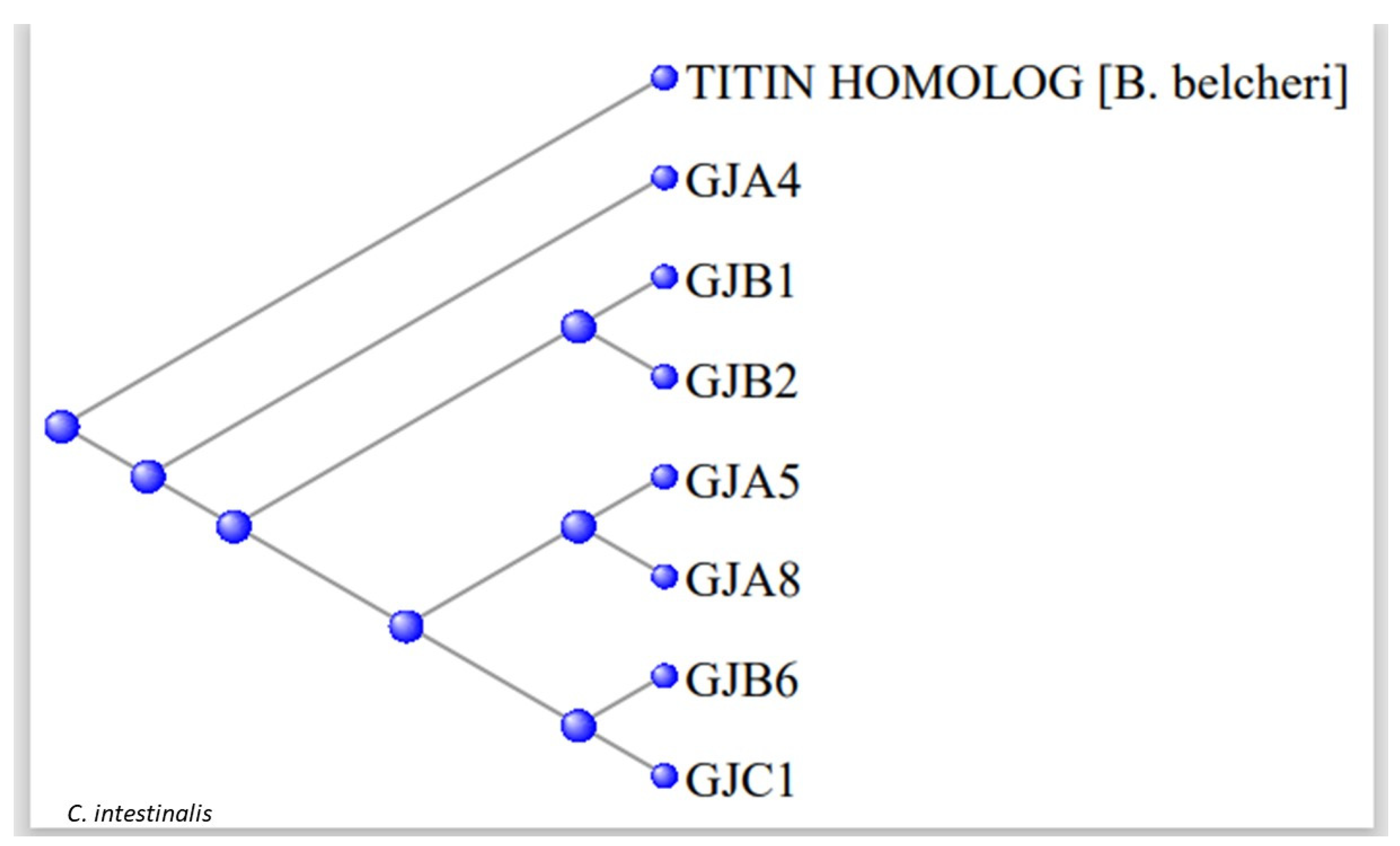 Genes 15 00657 g007
