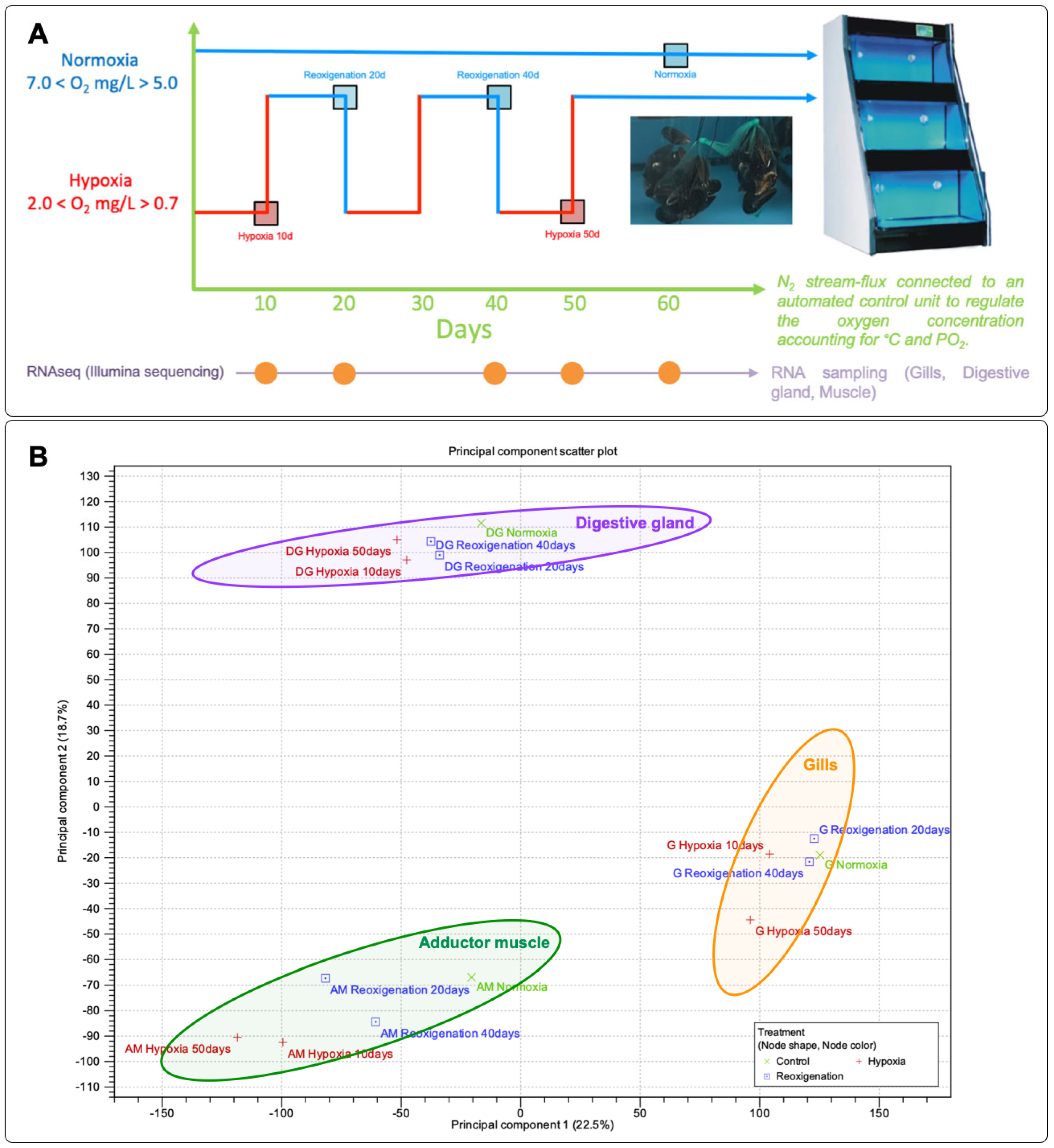 Genes 15 00658 g001 Genes 15 00658 g001