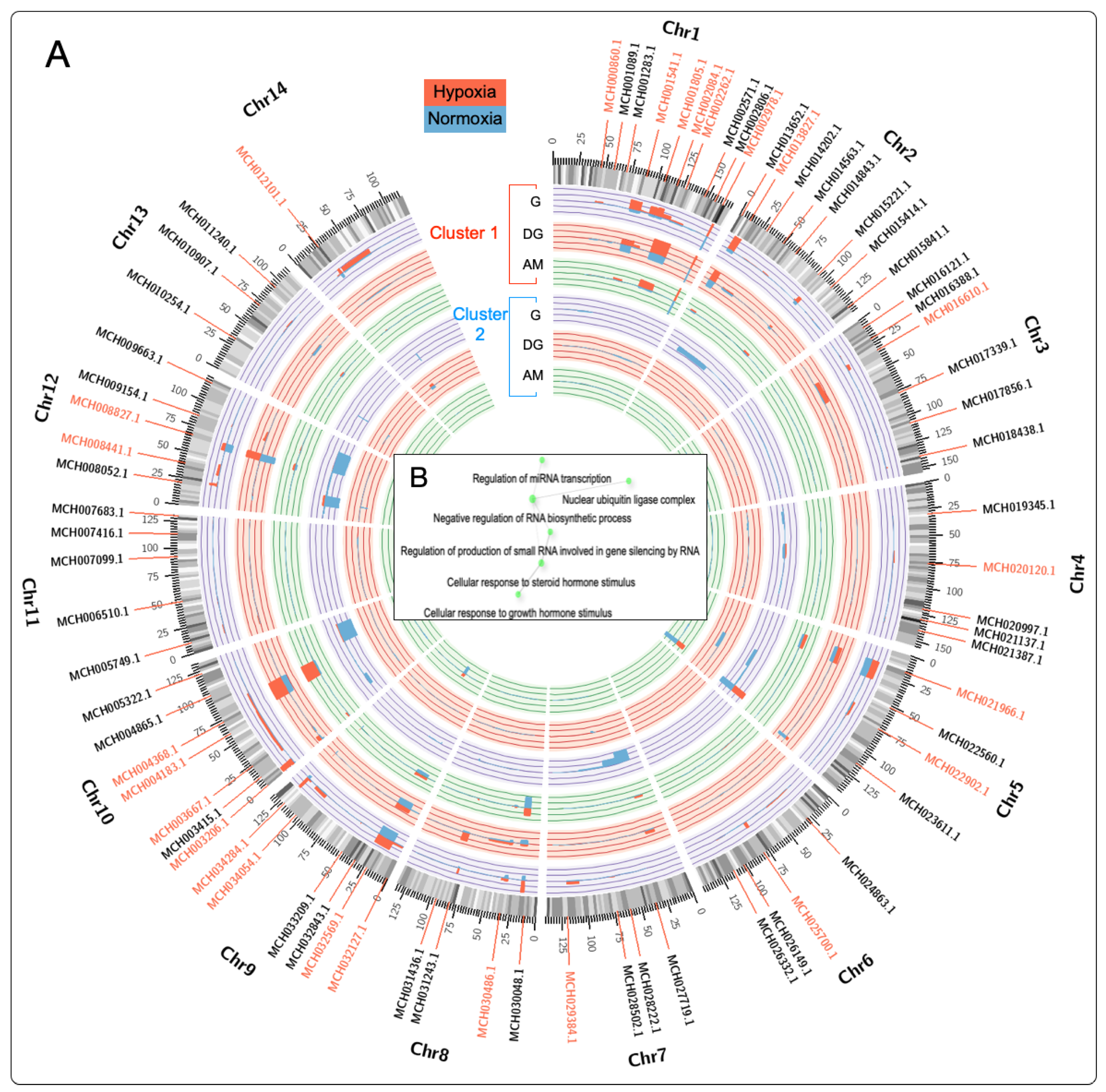 Genes 15 00658 g004 Genes 15 00658 g004