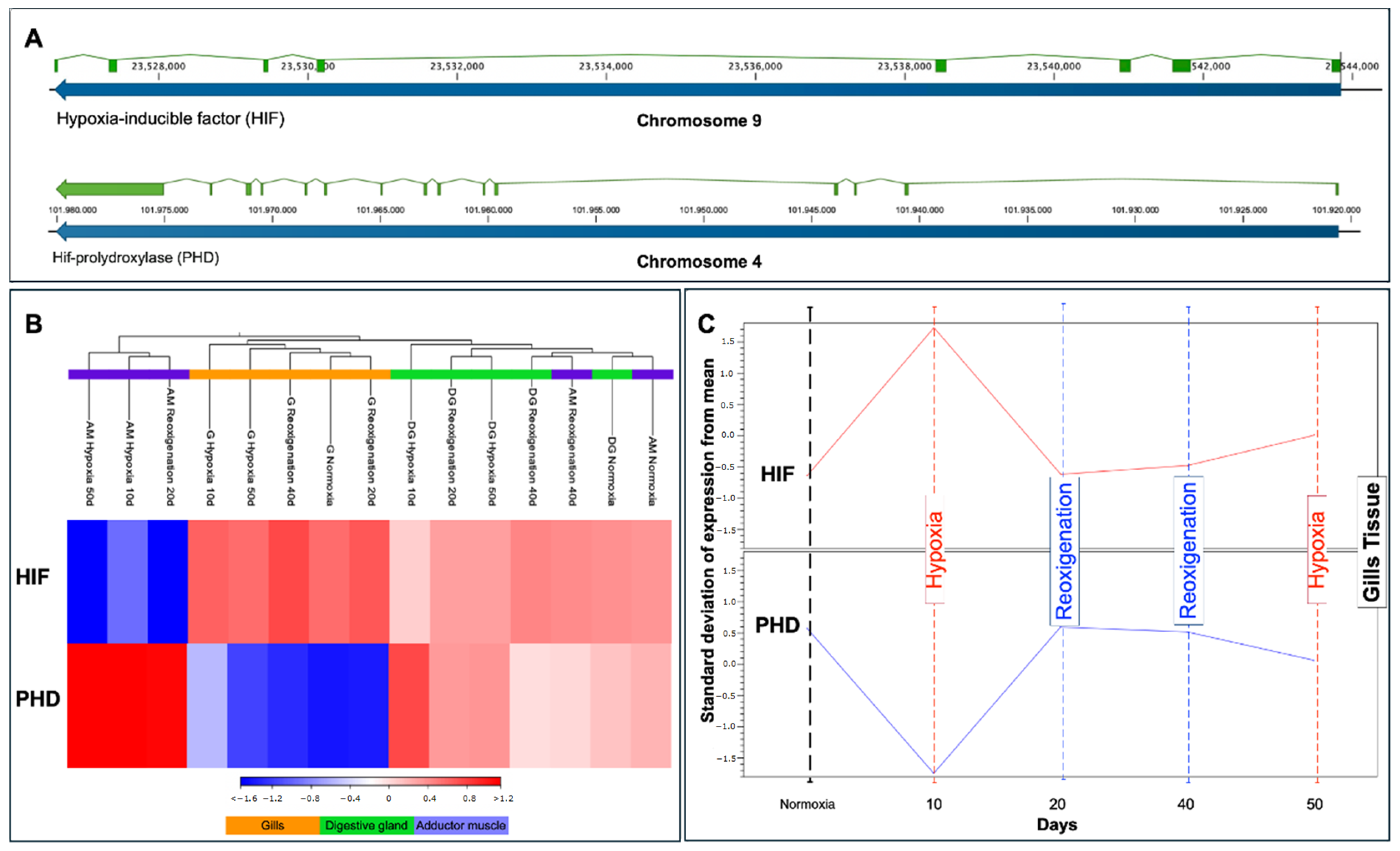 Genes 15 00658 g009 Genes 15 00658 g009