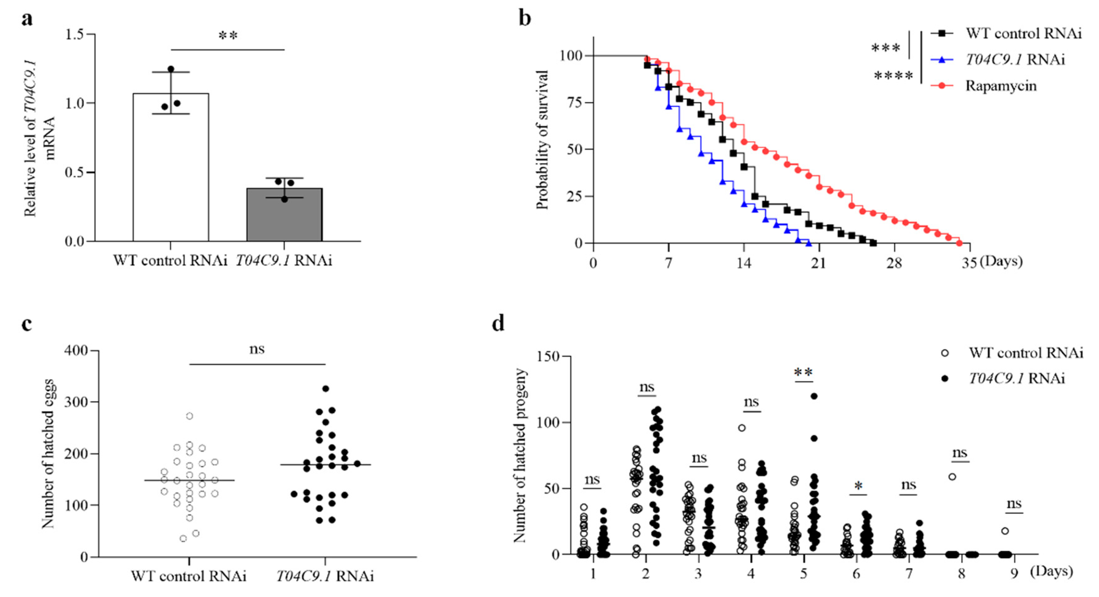 Genes 15 00659 g002