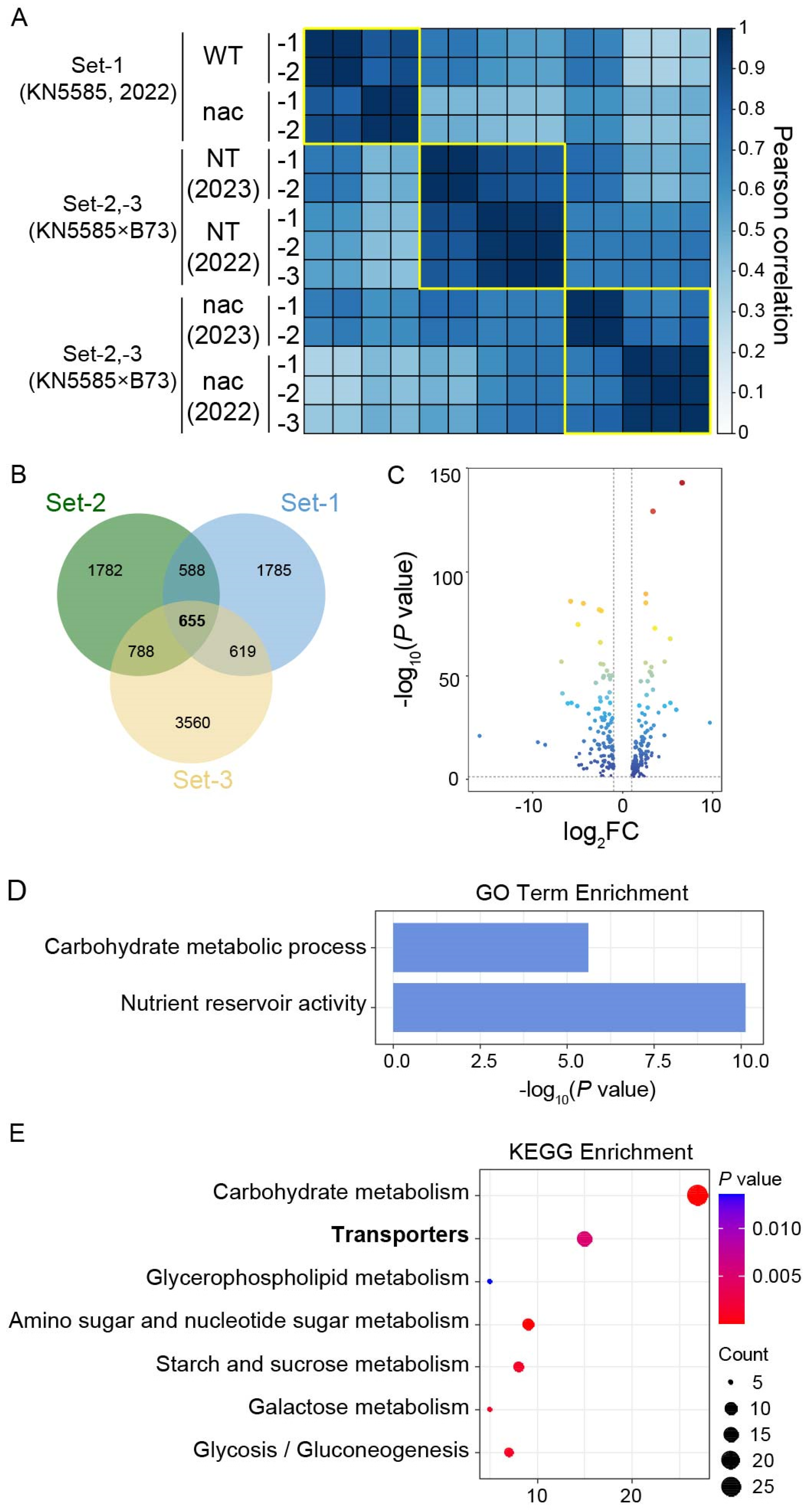 Genes 15 00663 g001