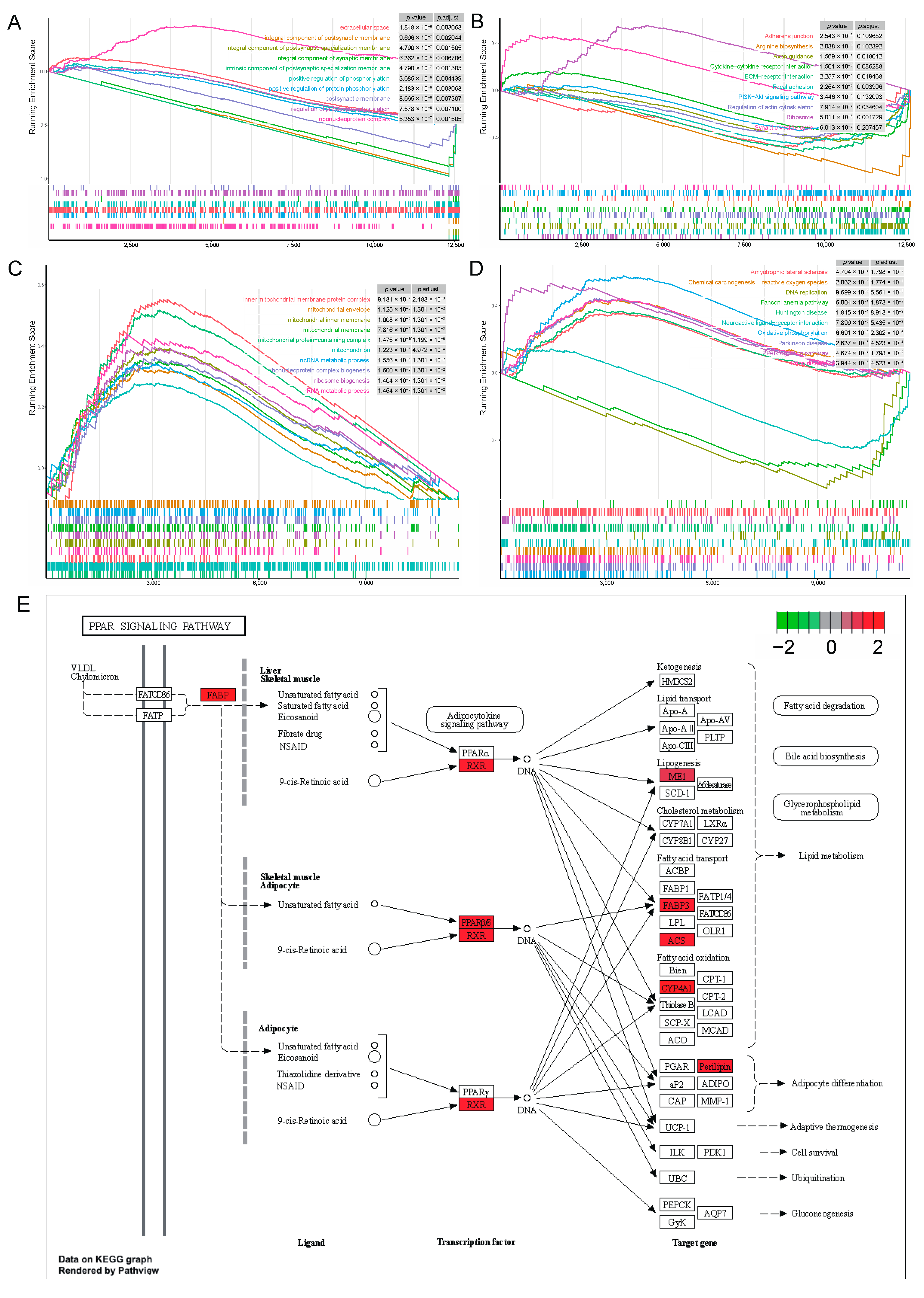 Genes 15 00667 g006
