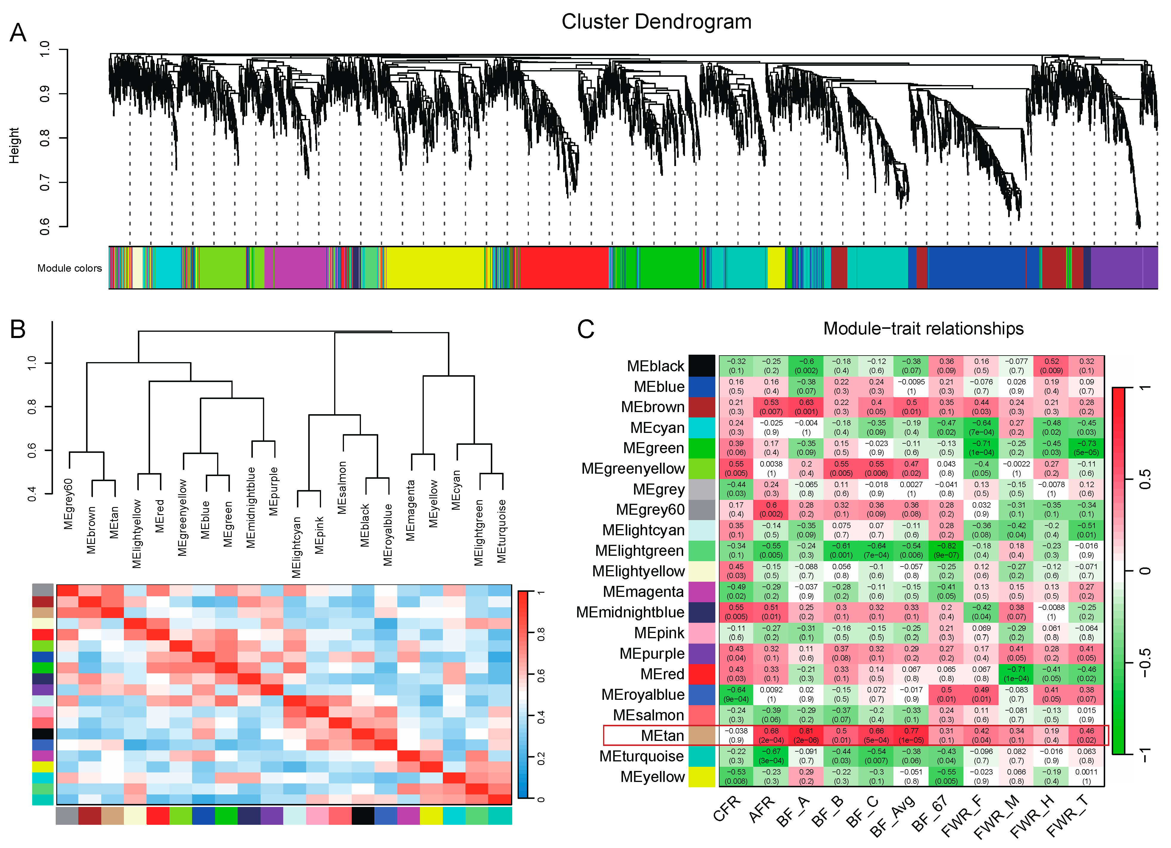 Genes 15 00667 g007