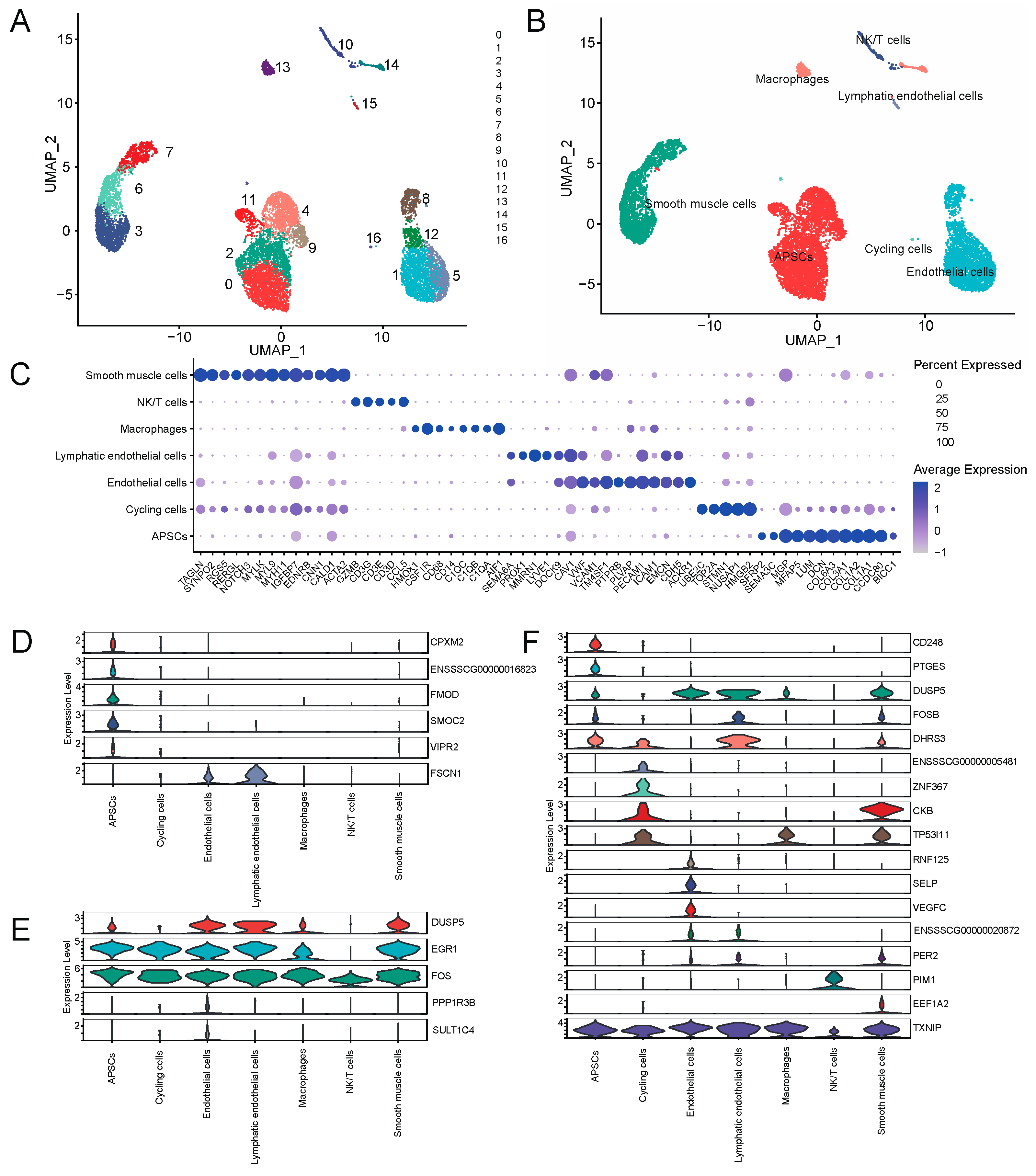 Genes 15 00667 g009