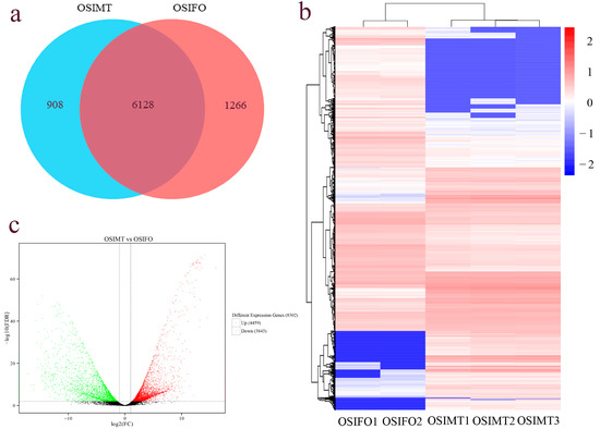 Identification of immune-related hub genes in spinal cord