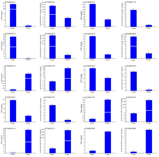 Drug Resistance in Medulloblastoma Is Driven by YB-1, ABCB1
