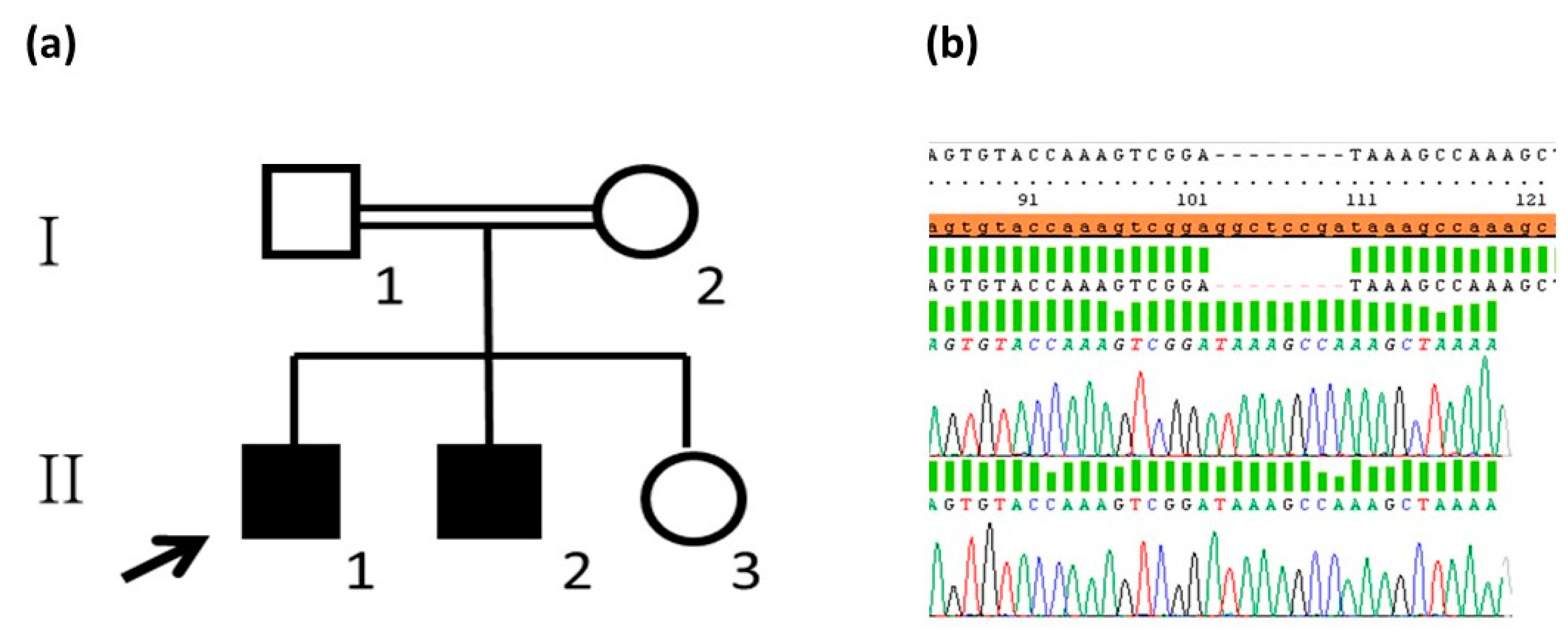 Genes 15 00687 g001