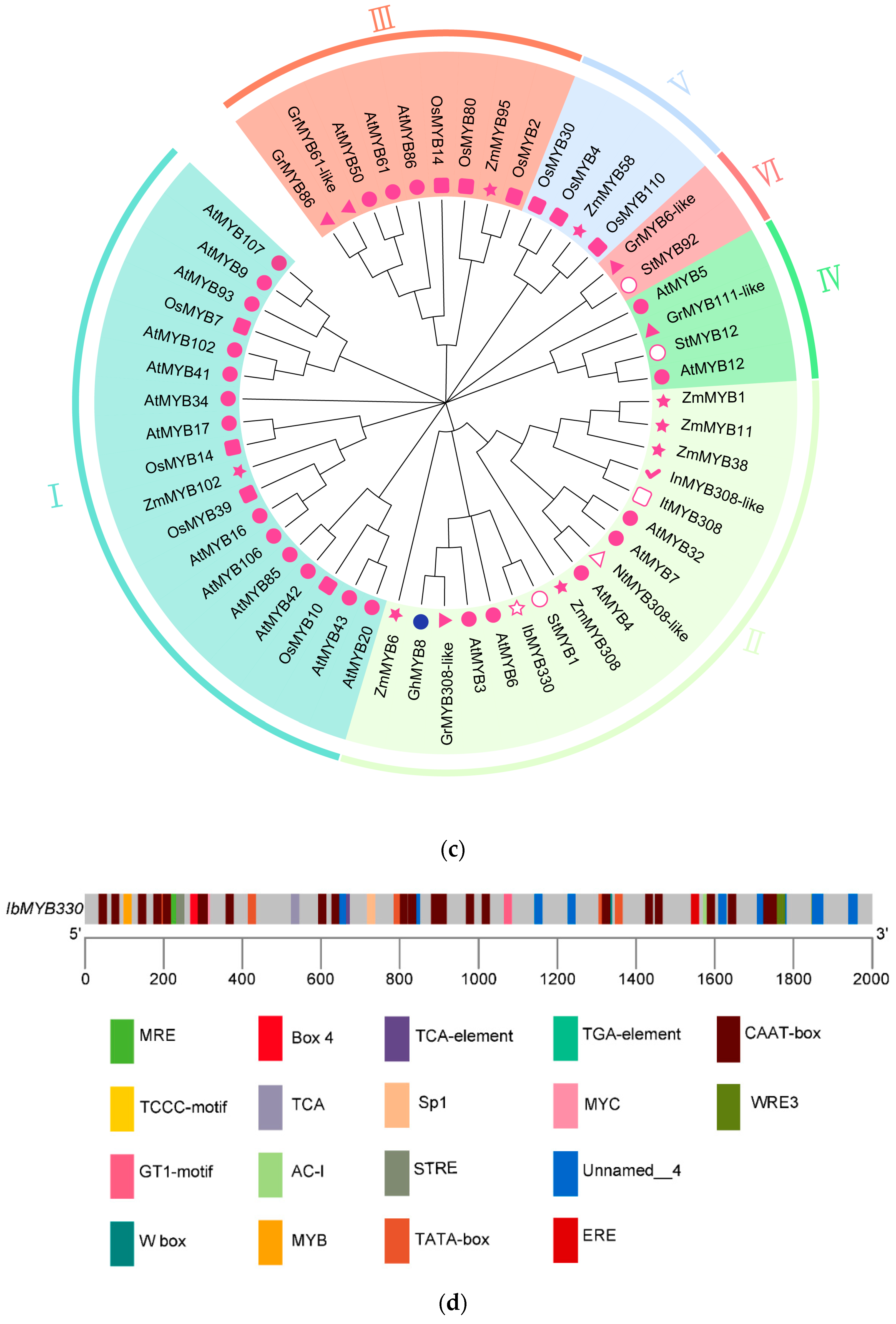 Genes 15 00693 g001b