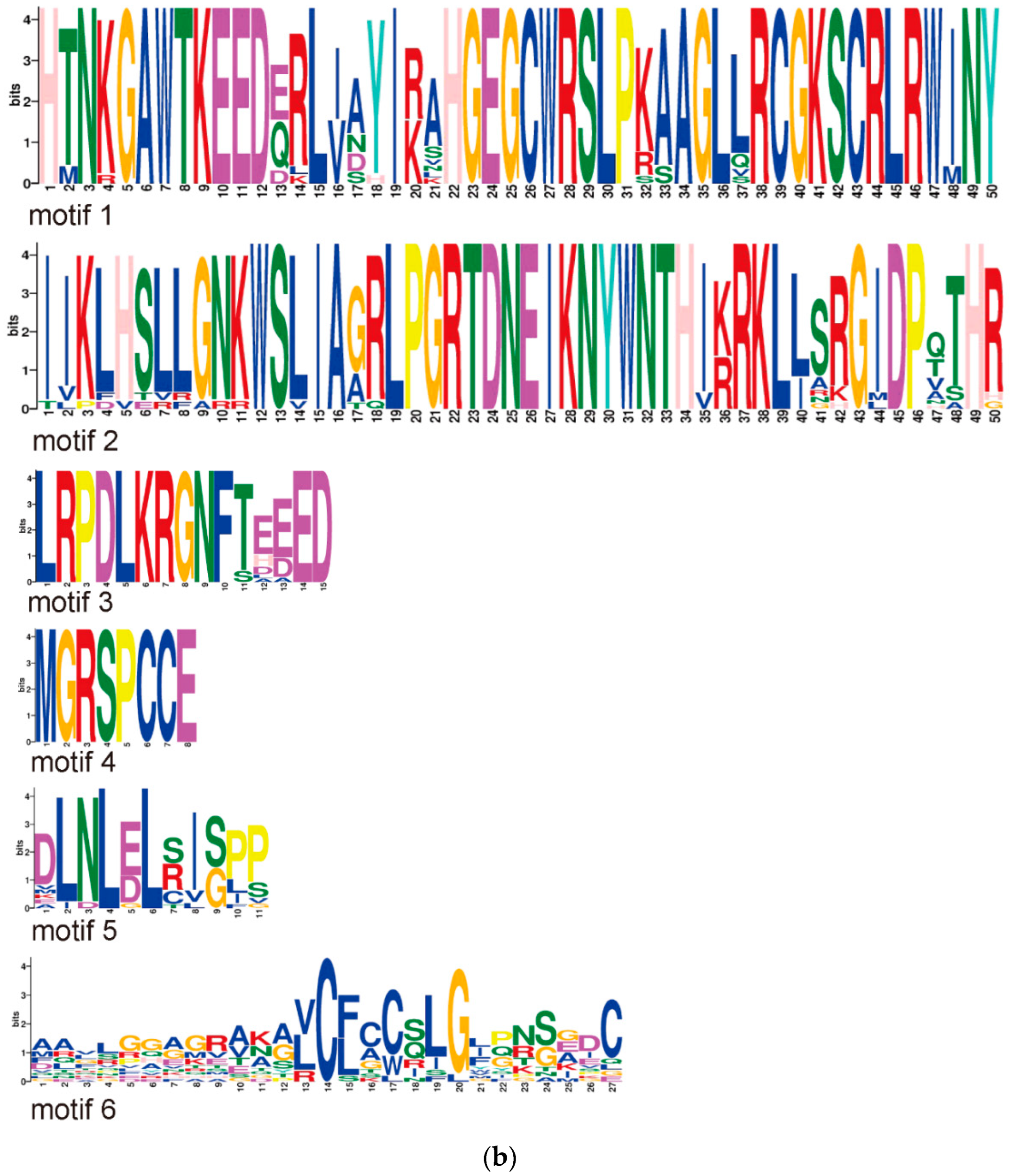 Genes 15 00693 g002b