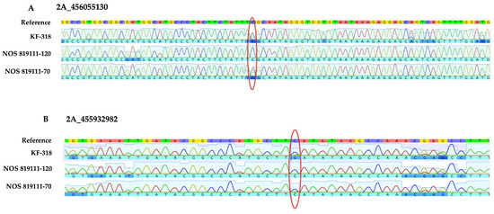 Assessing myBaits Target Capture Sequencing Methodology Using Short ...