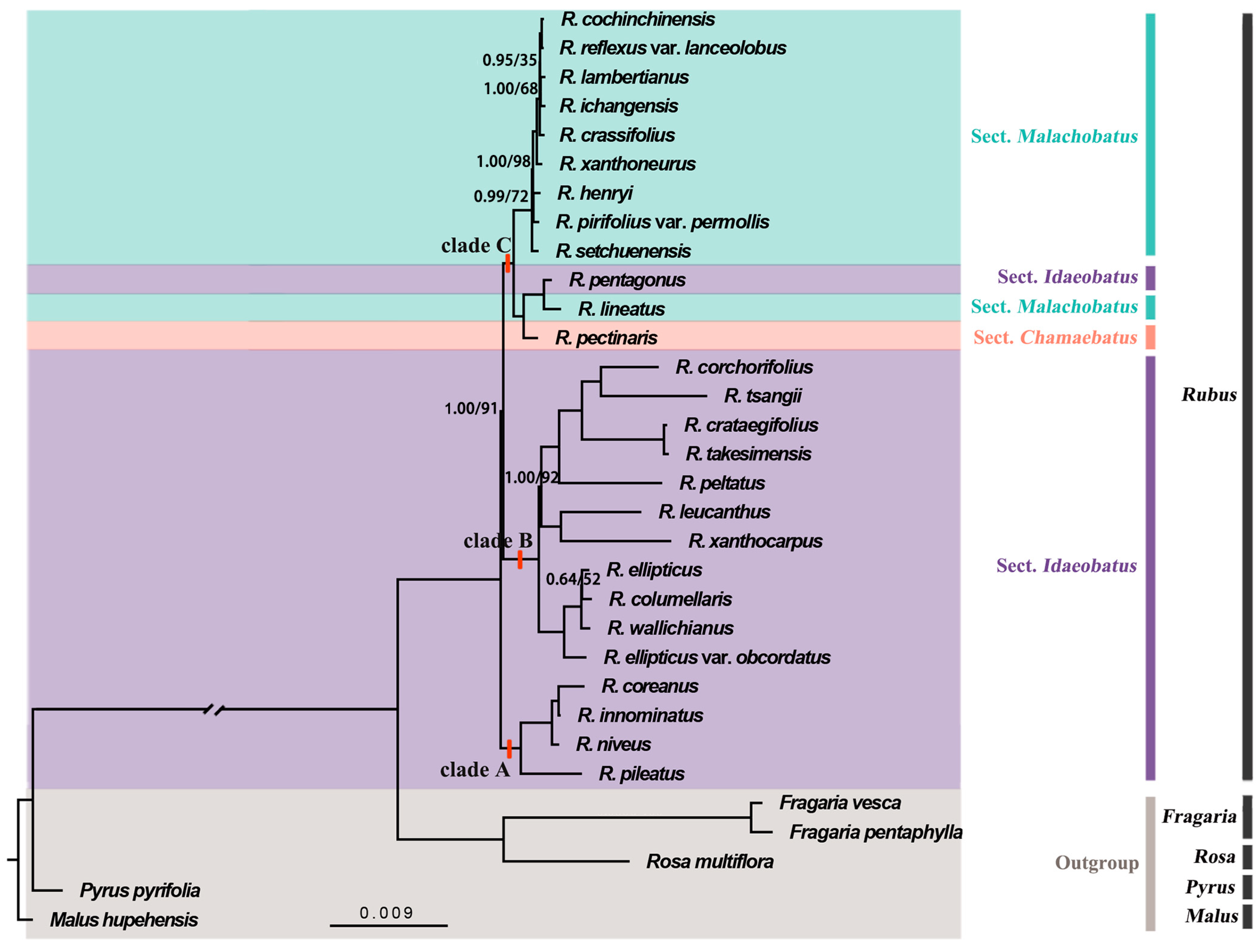 Genes 15 00716 g005
