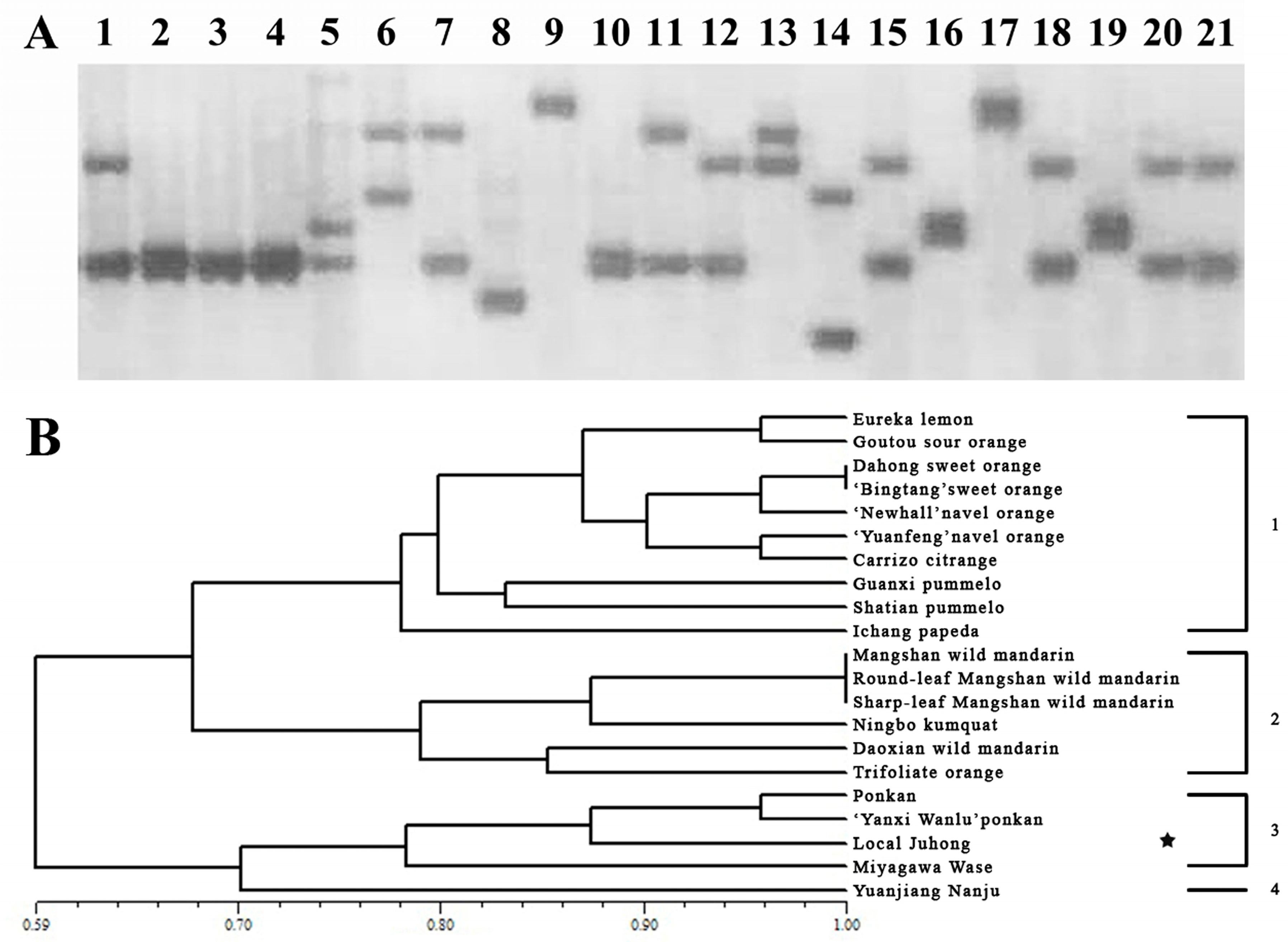 Genes 15 00719 g002