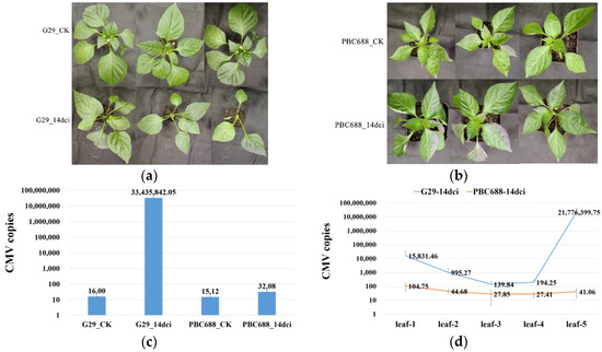 Transcriptional Comparison Reveals Differential Resistance