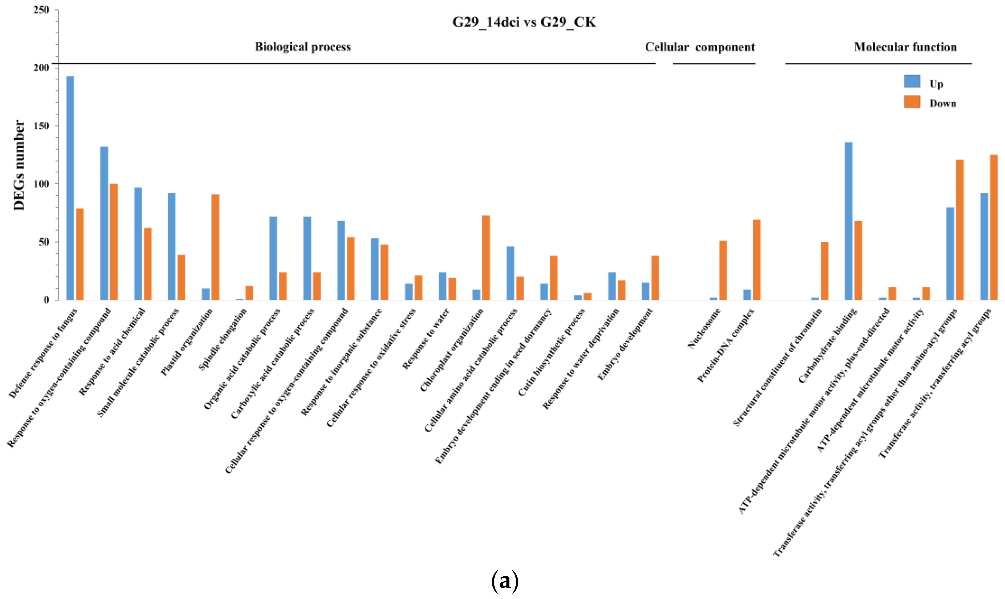 Genes 15 00731 g004a