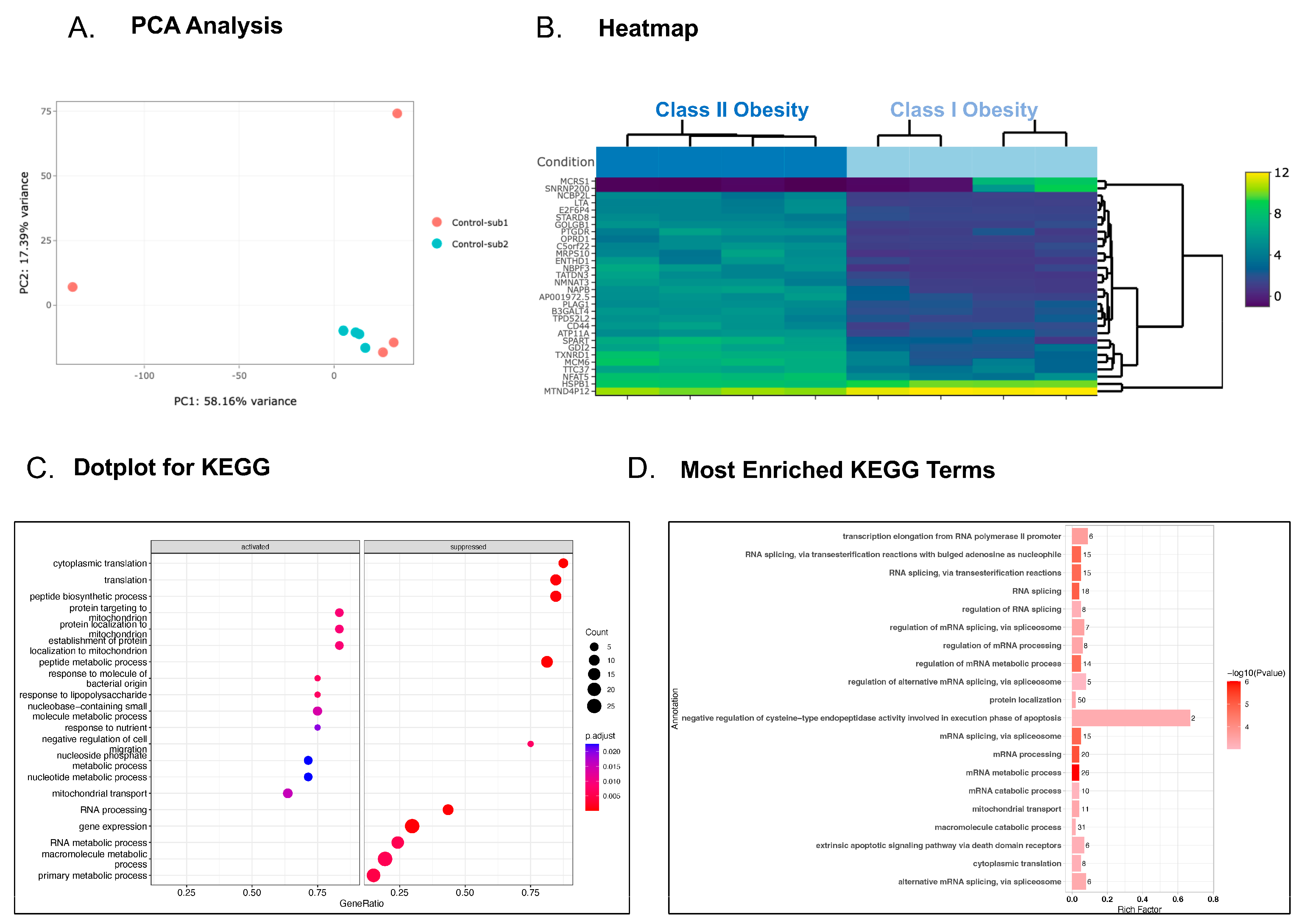 Genes 15 00737 g003