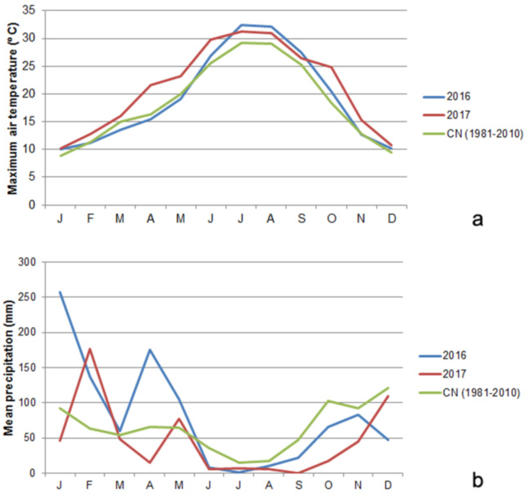 Genes 15 00747 g001