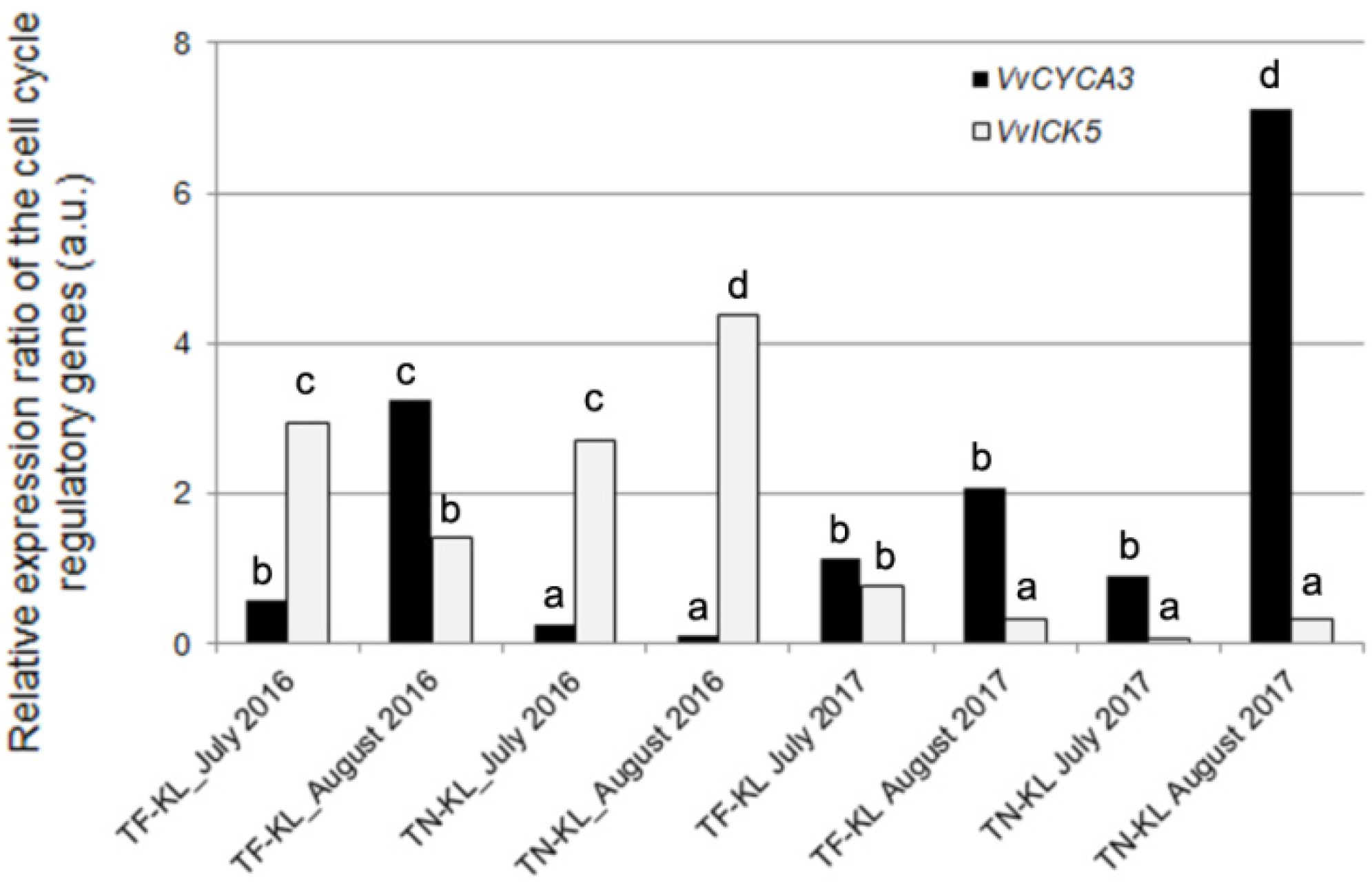 Genes 15 00747 g005