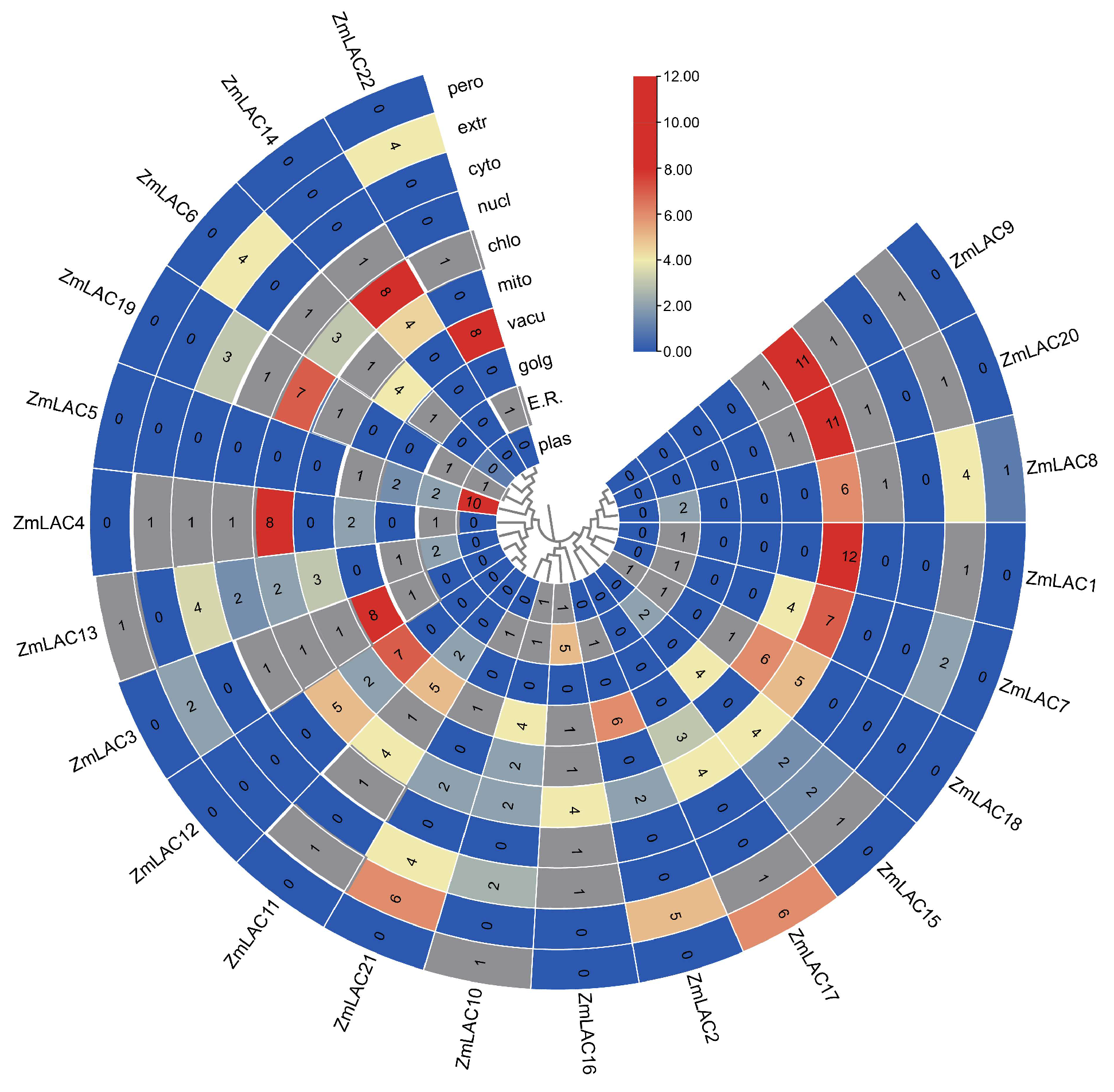Genes 15 00749 g001 Genes 15 00749 g001