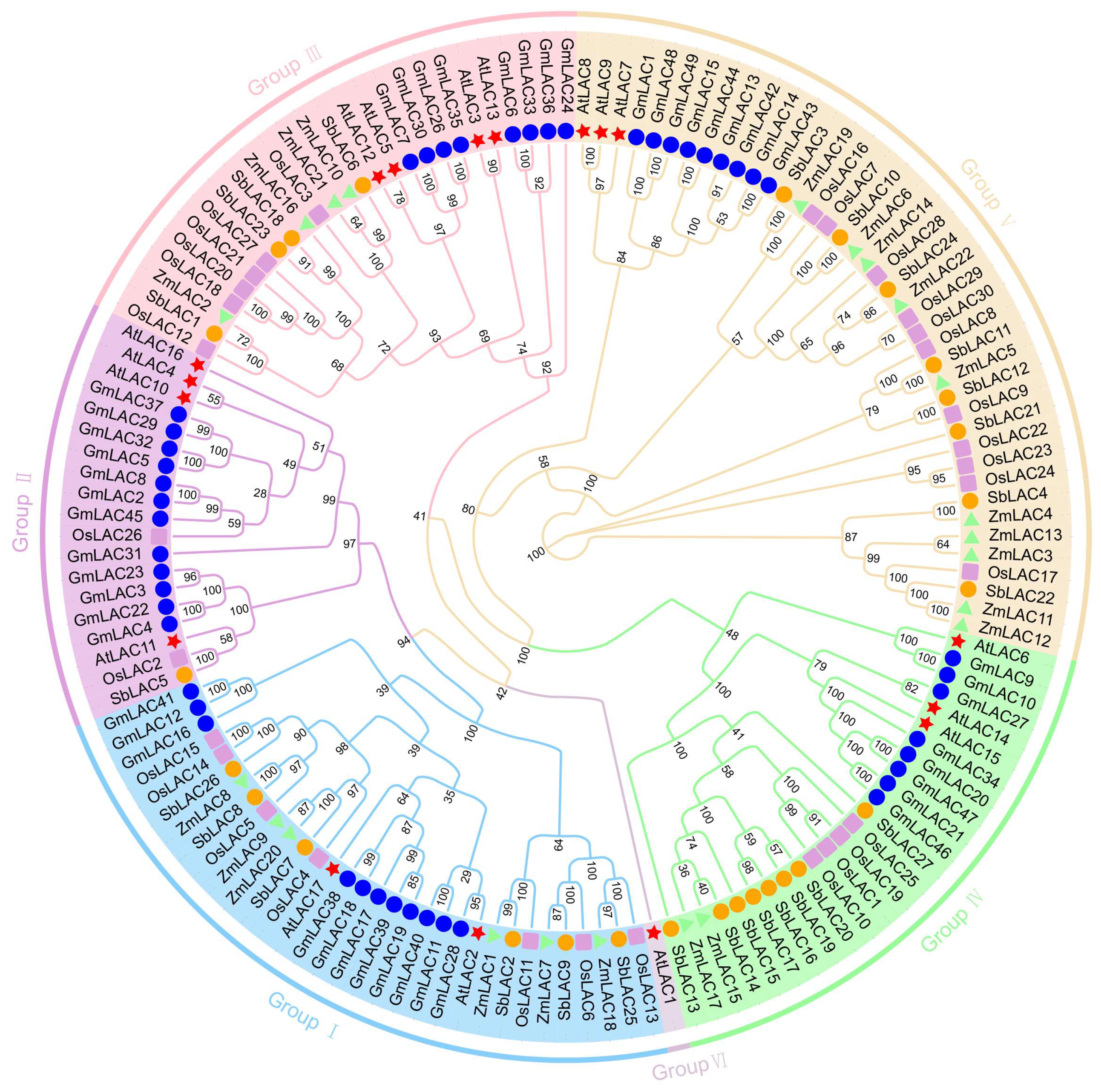Genes 15 00749 g003 Genes 15 00749 g003