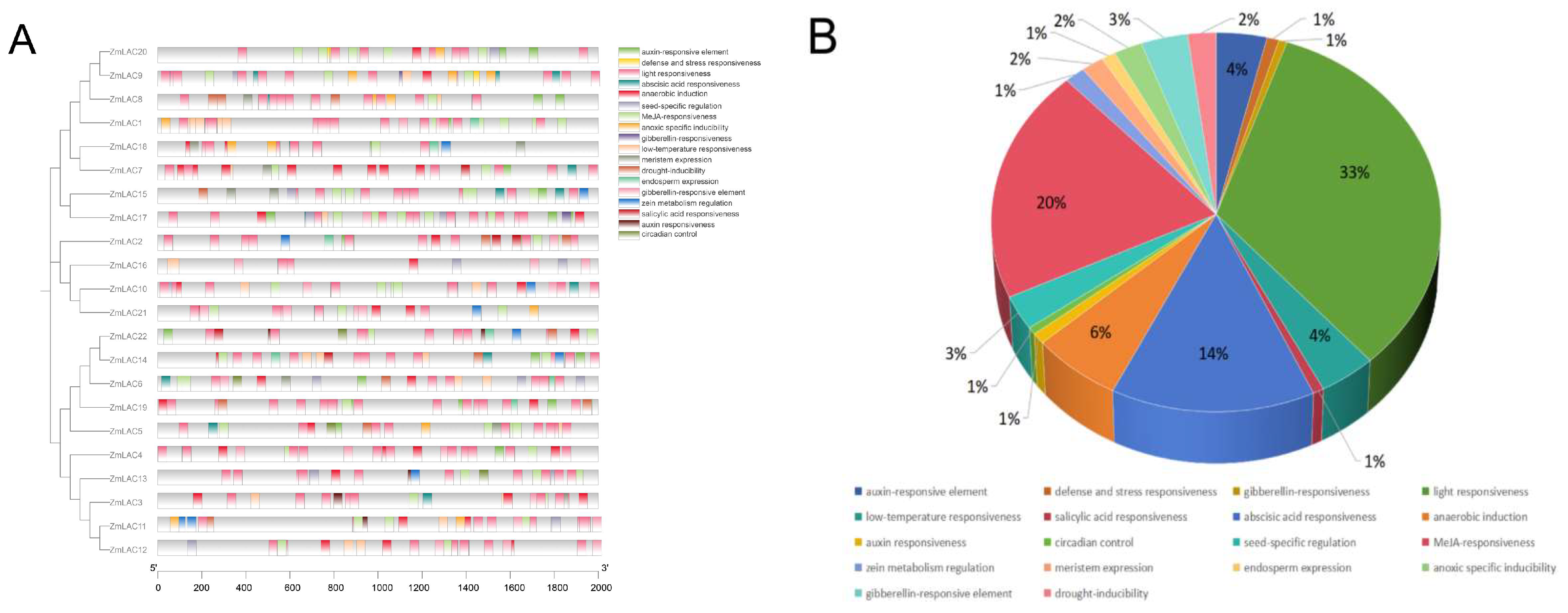 Genes 15 00749 g005 Genes 15 00749 g005