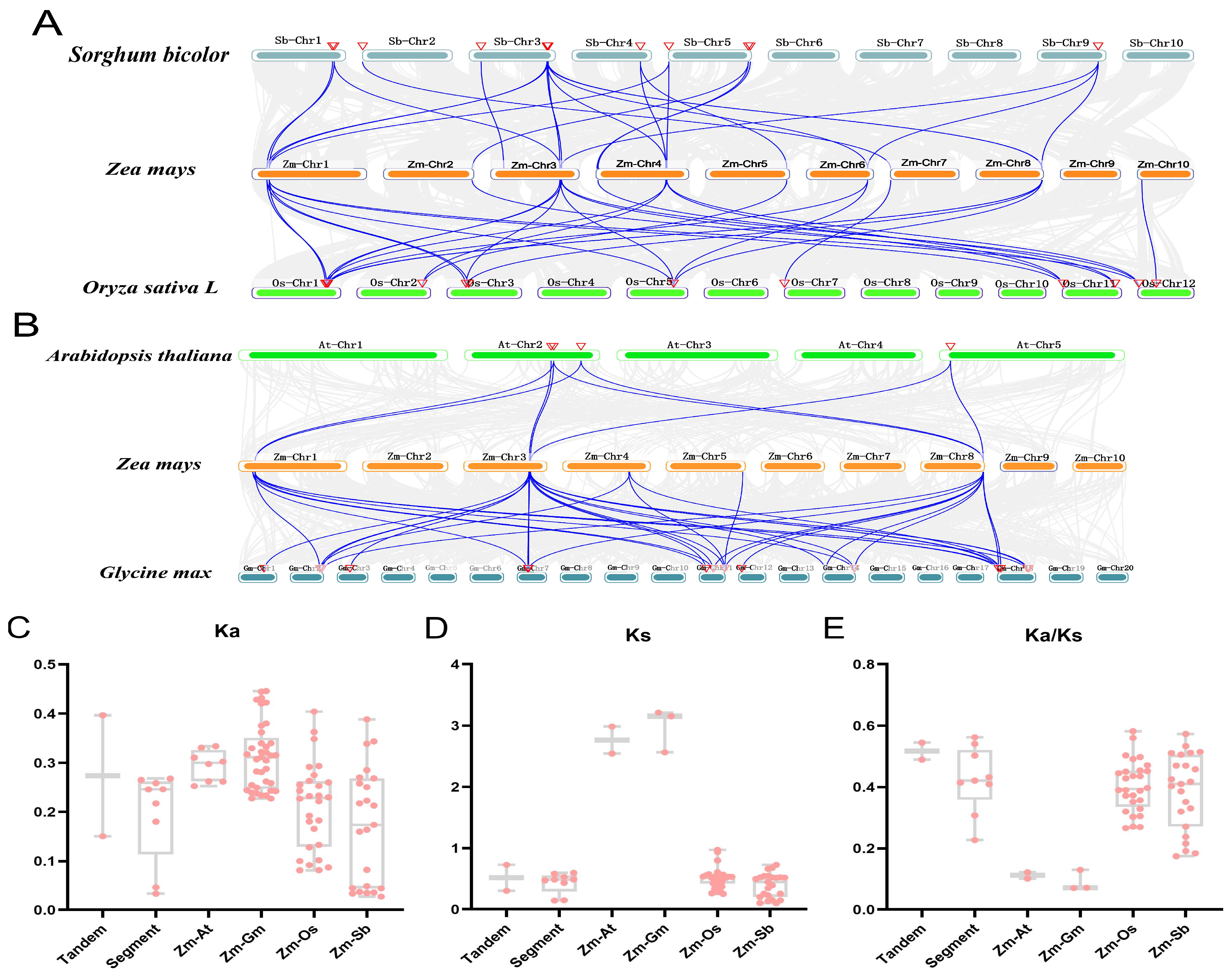 Genes 15 00749 g007 Genes 15 00749 g007