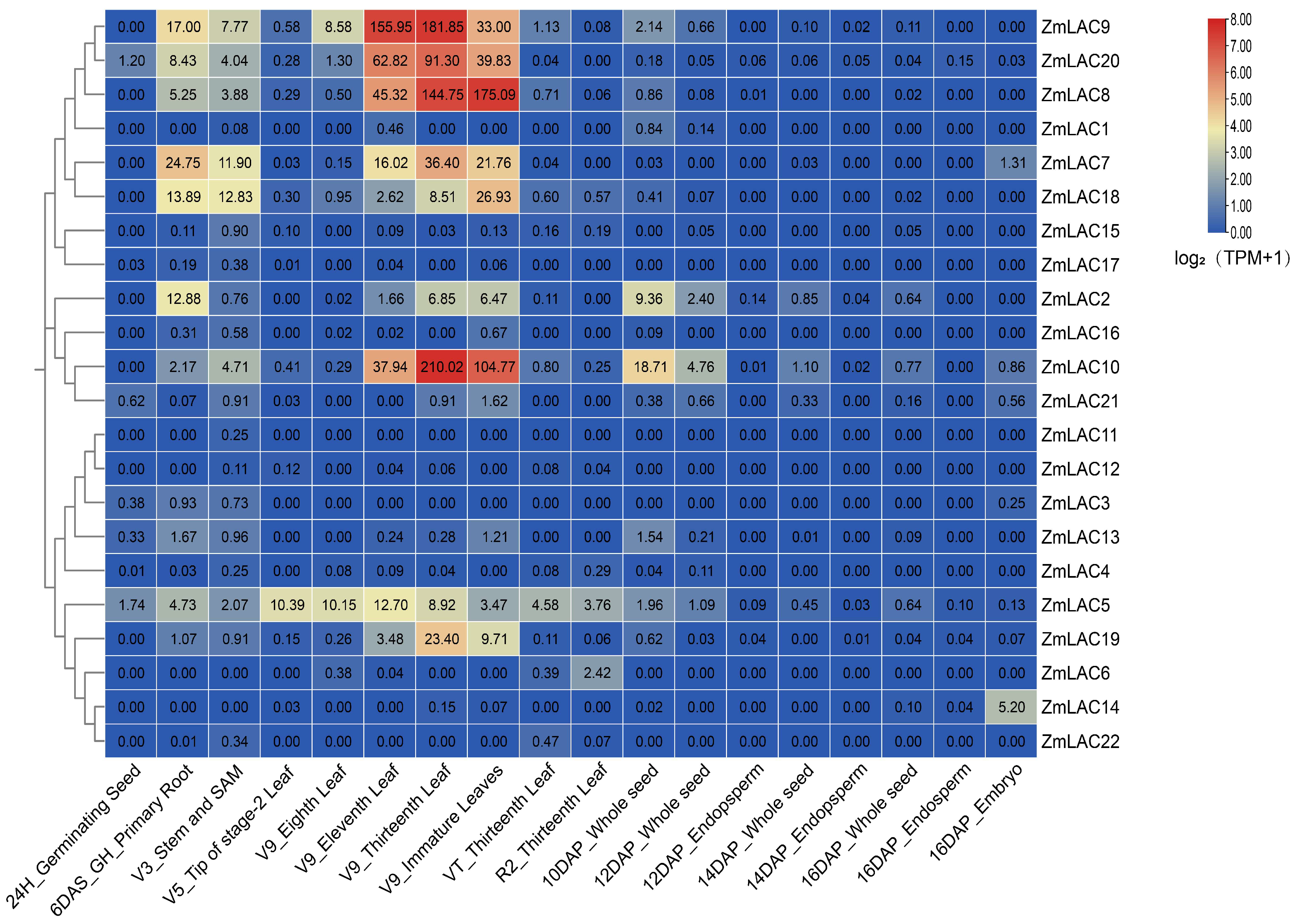 Genes 15 00749 g008 Genes 15 00749 g008