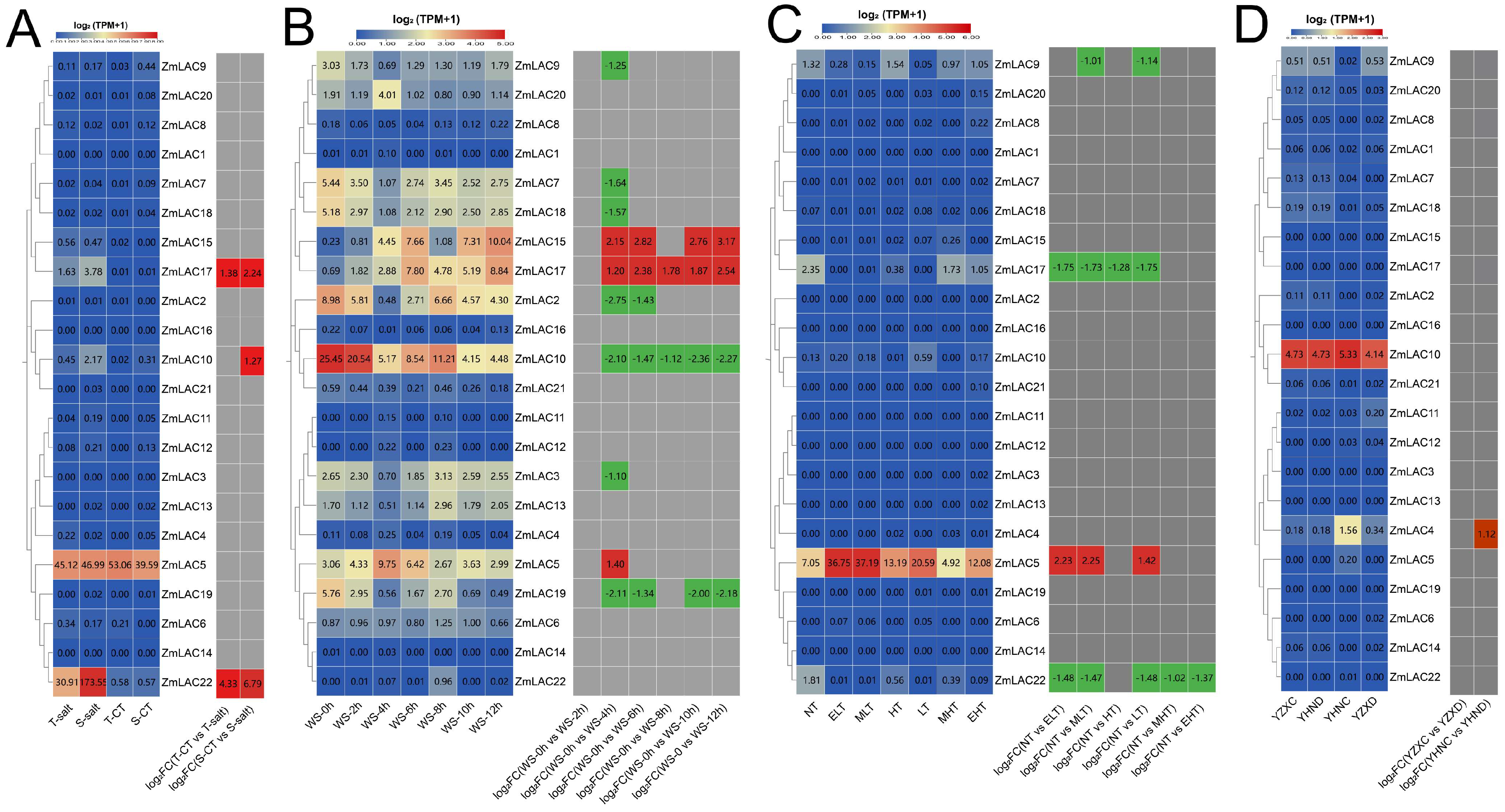 Genes 15 00749 g009 Genes 15 00749 g009