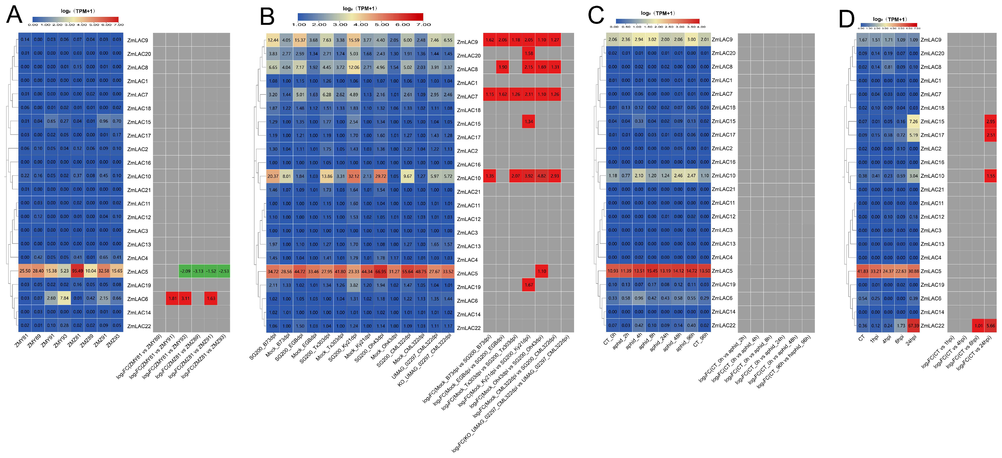 Genes 15 00749 g010 Genes 15 00749 g010
