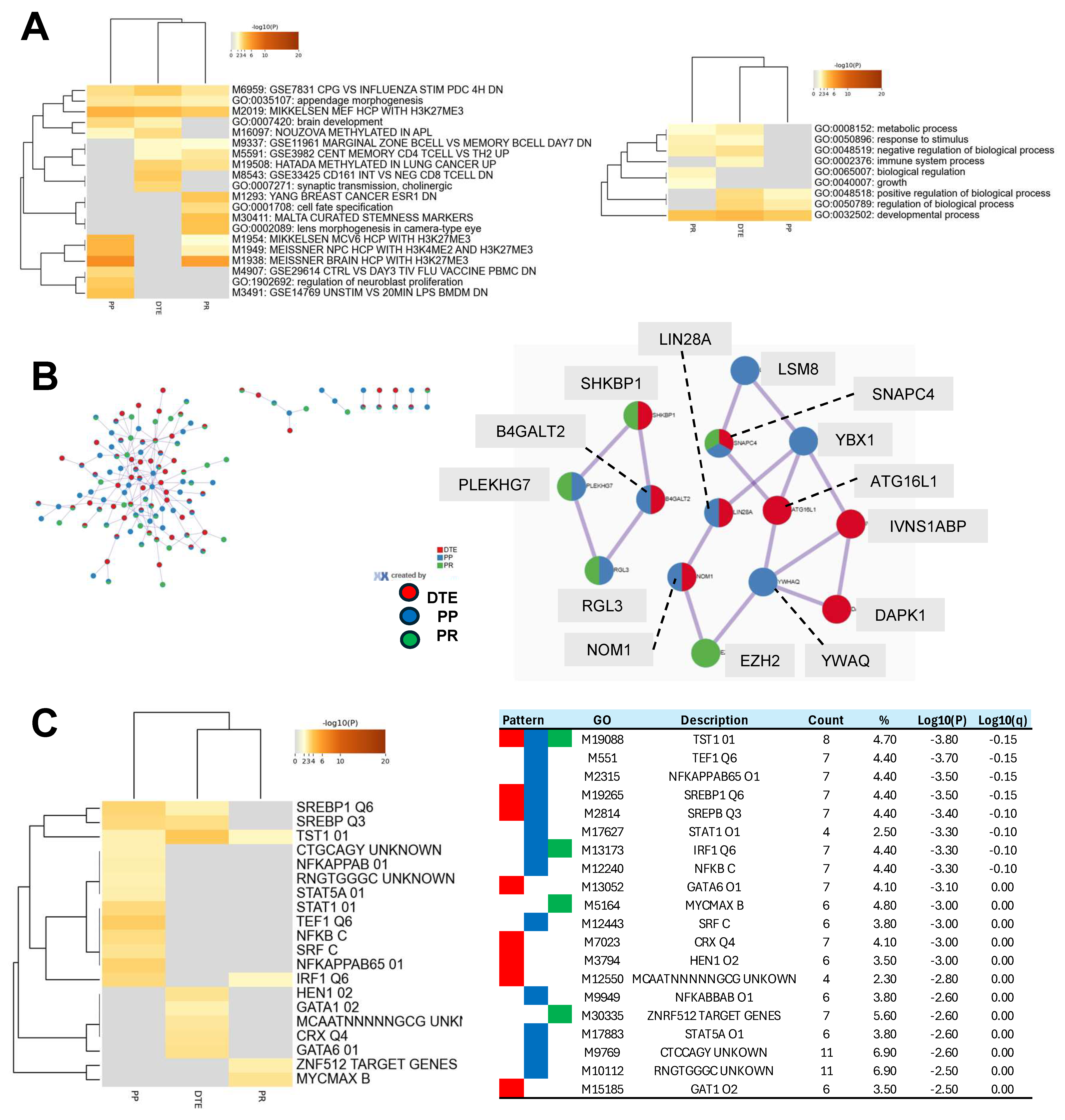 Genes 15 00750 g006