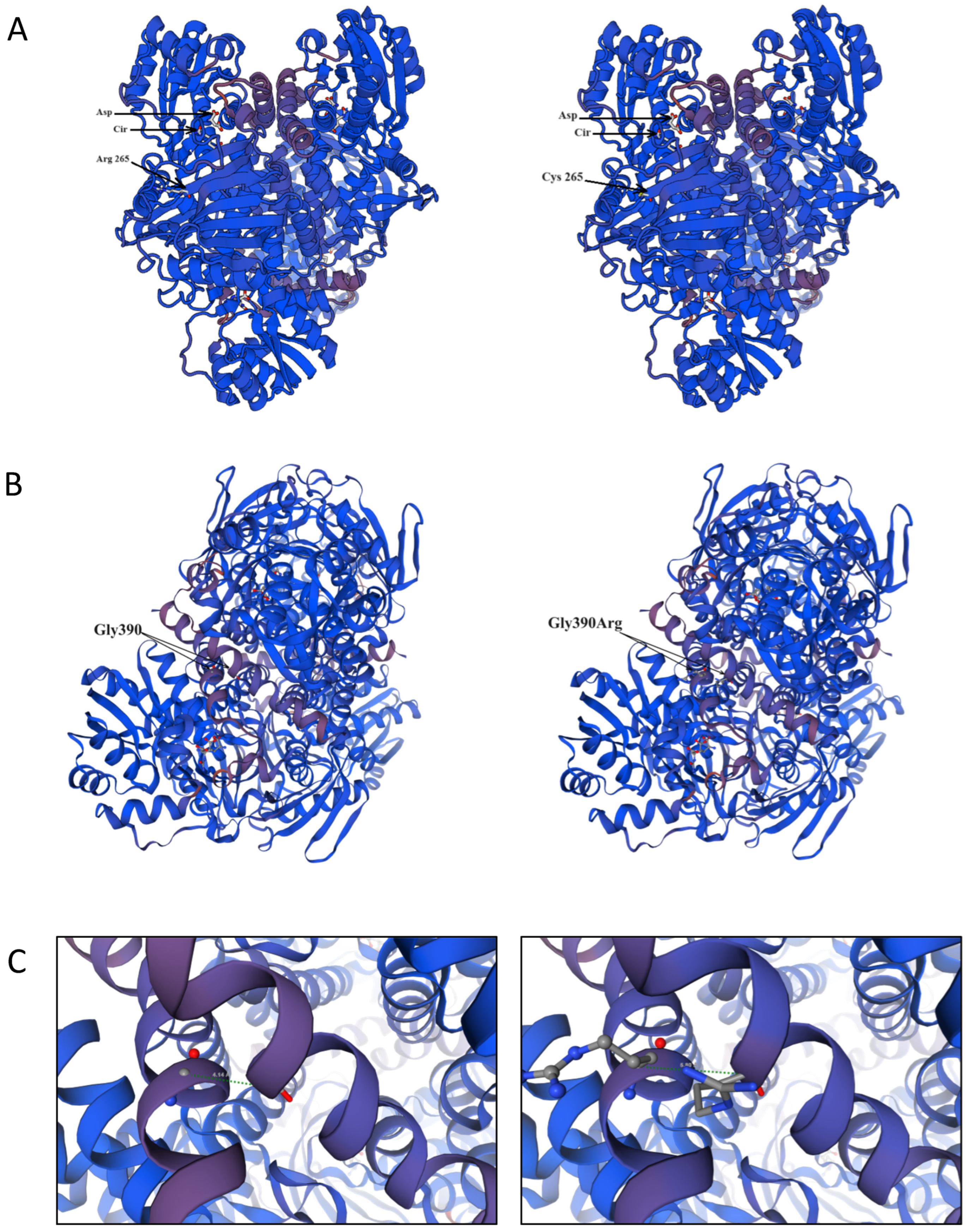 Genes 15 00753 g001