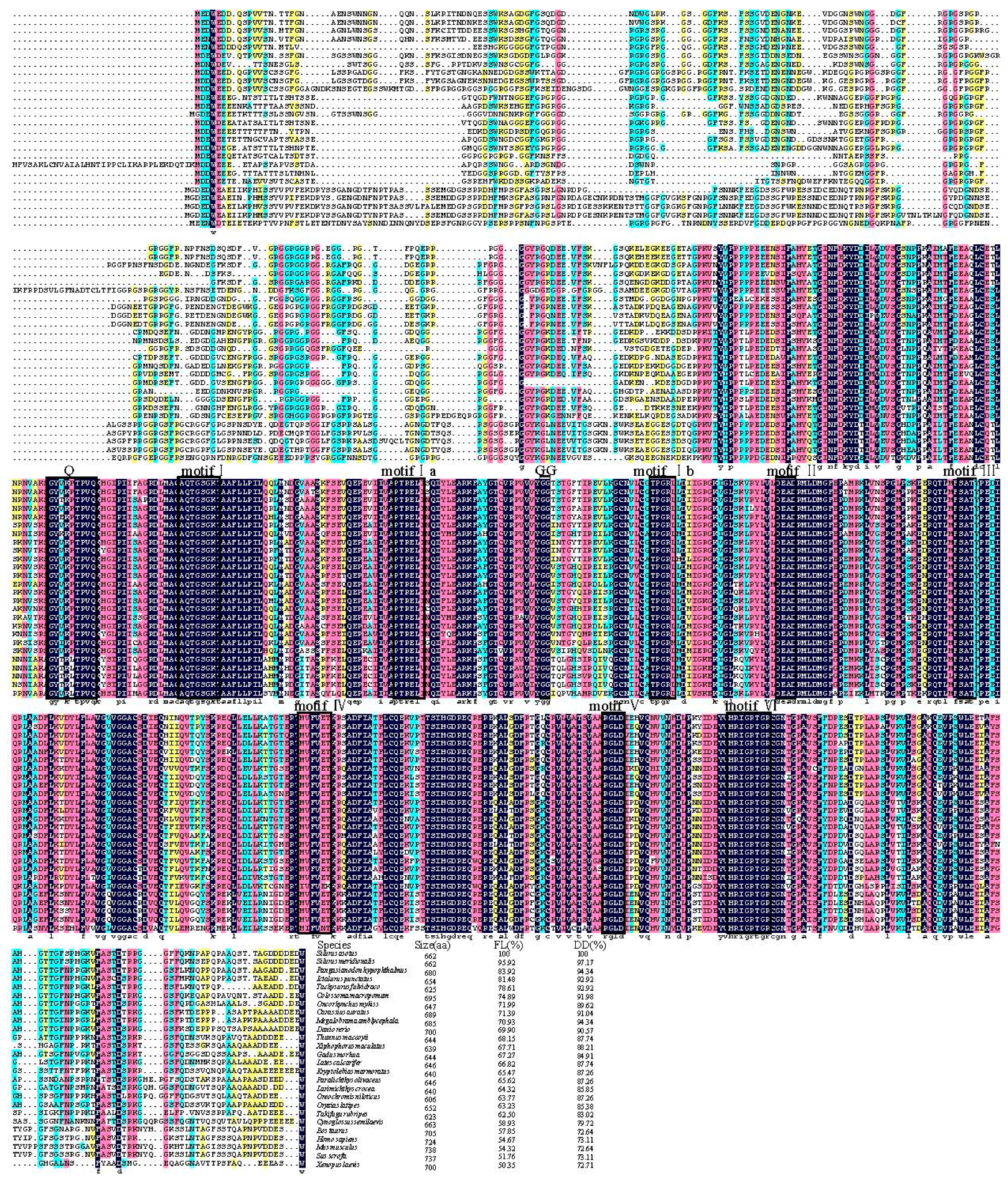 Genes 15 00756 g002