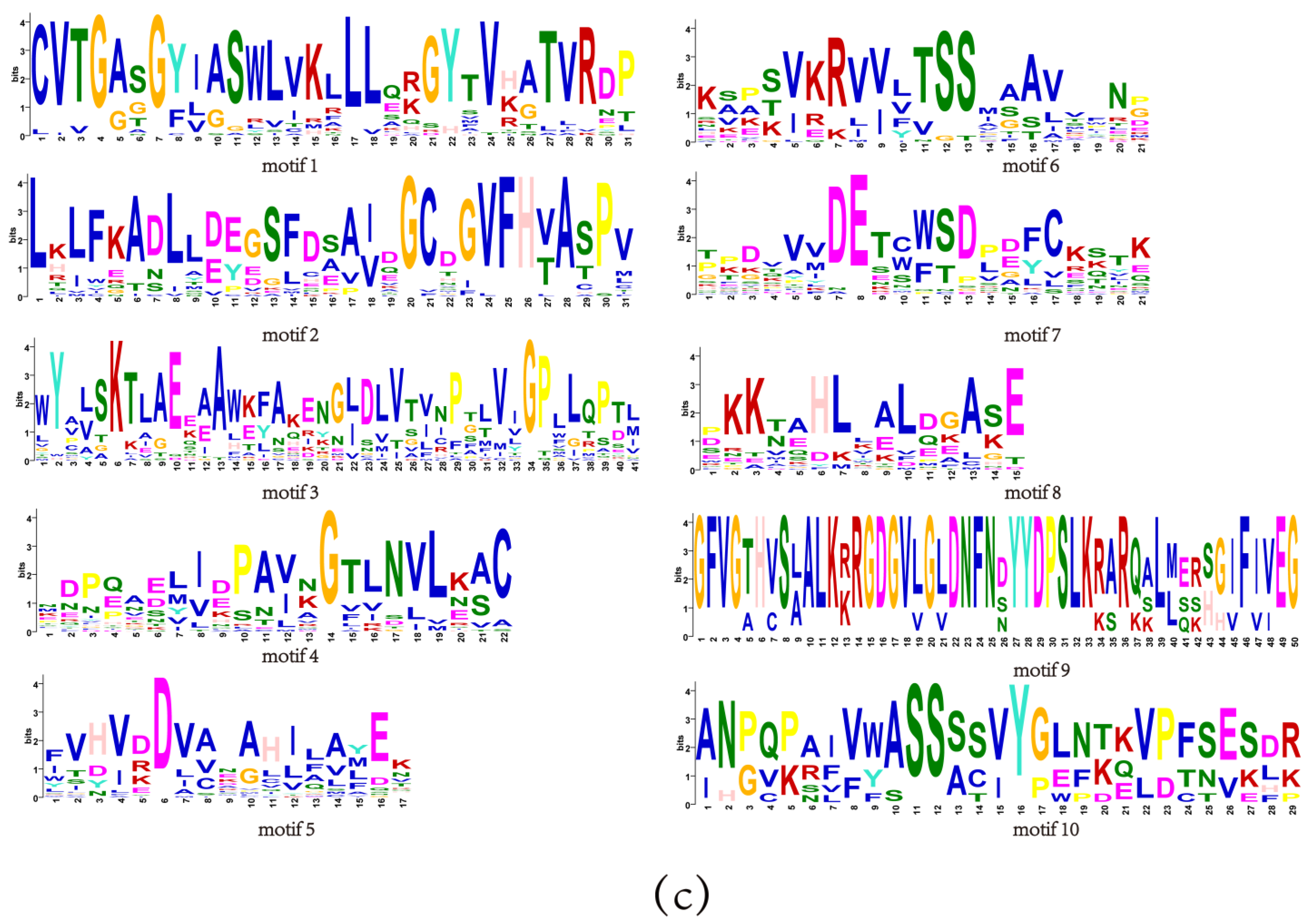 Genes 15 00757 g003b