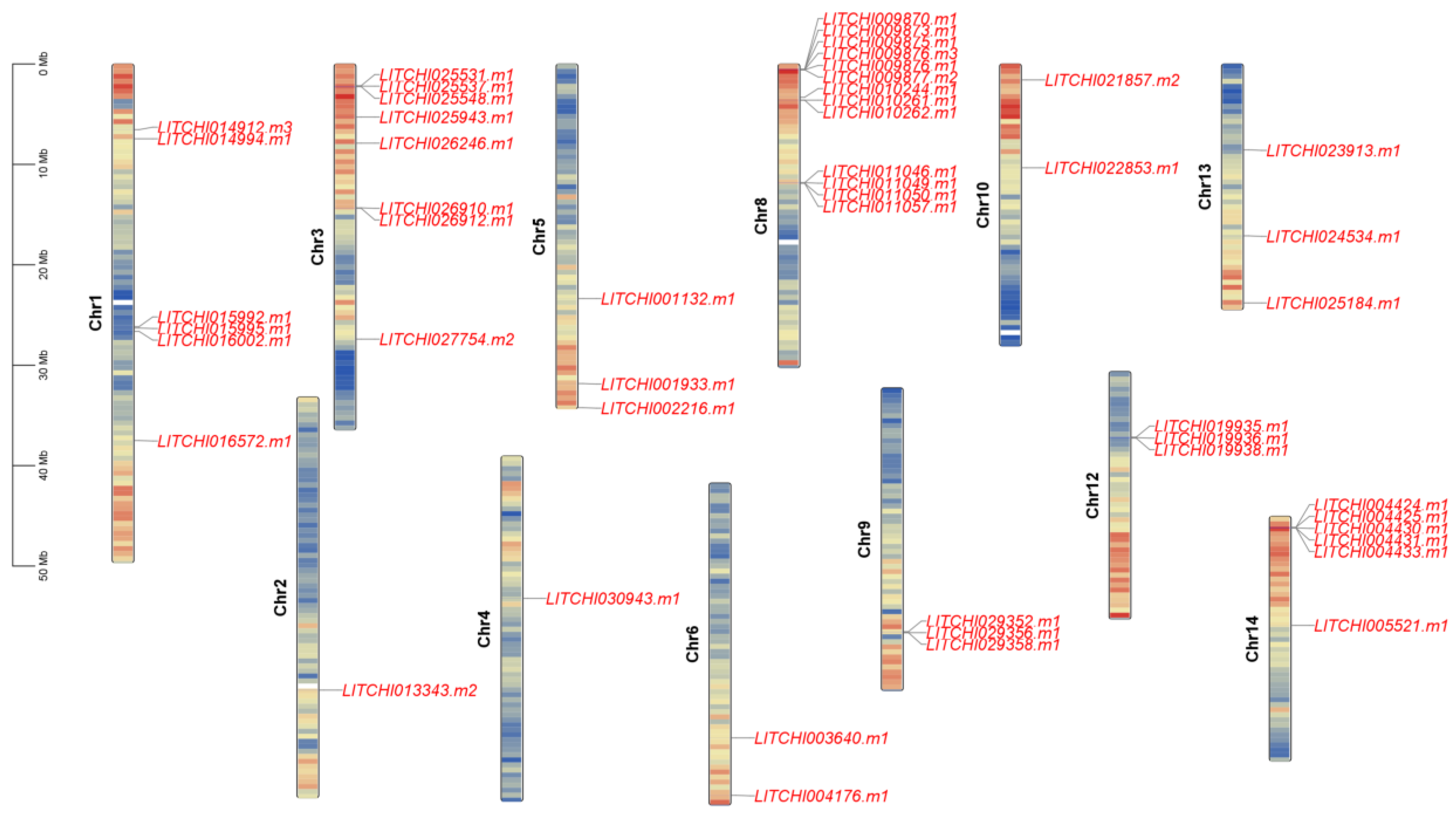 Genes 15 00757 g004