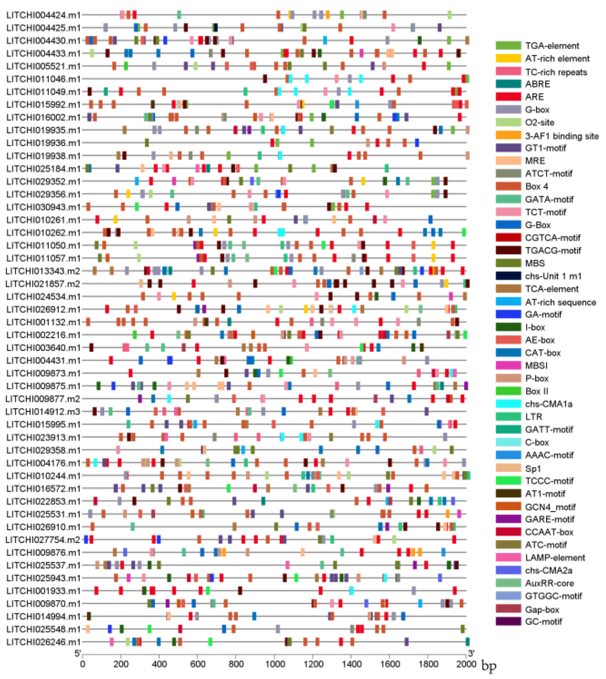 Genes 15 00757 g006