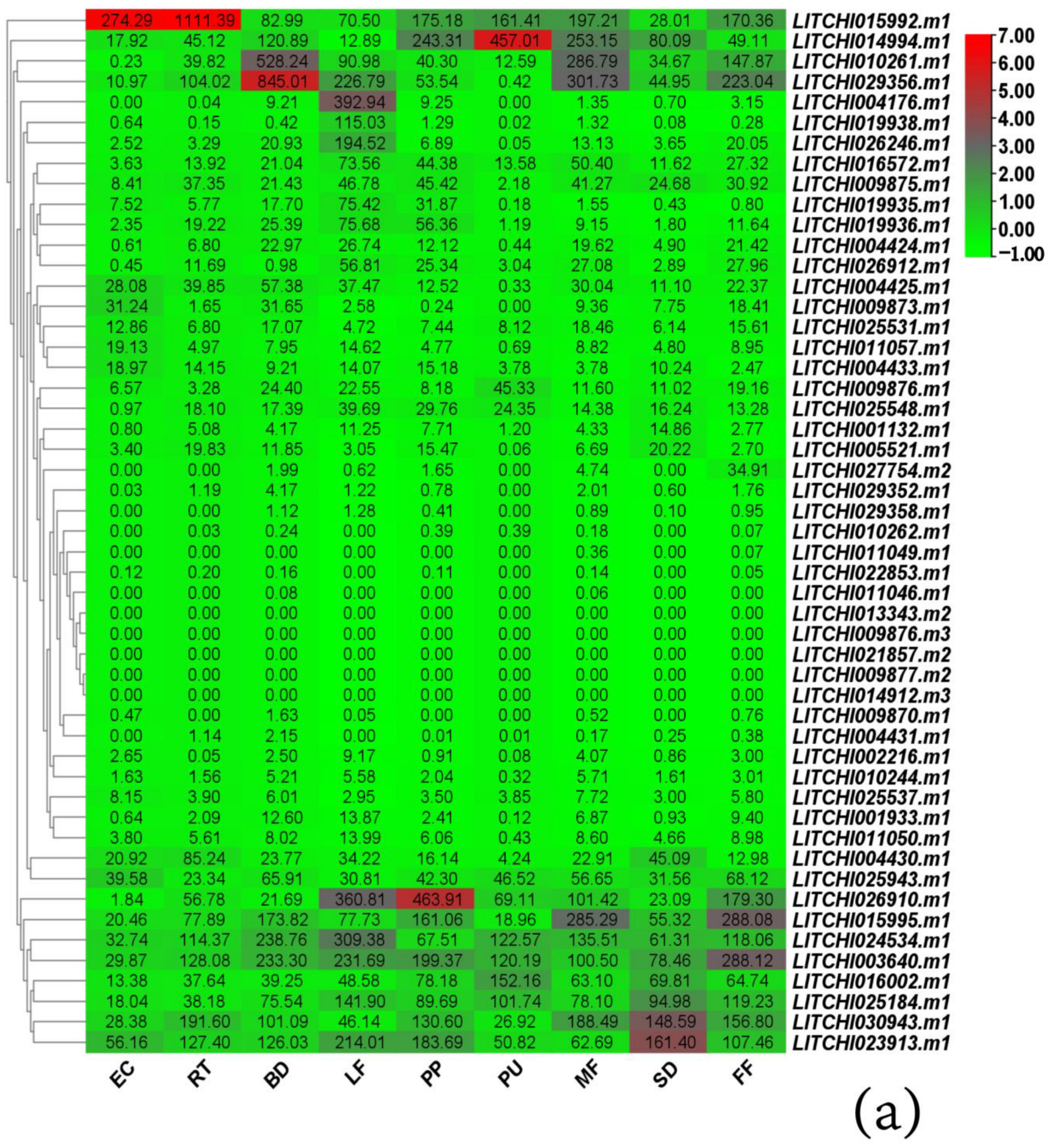 Genes 15 00757 g007a