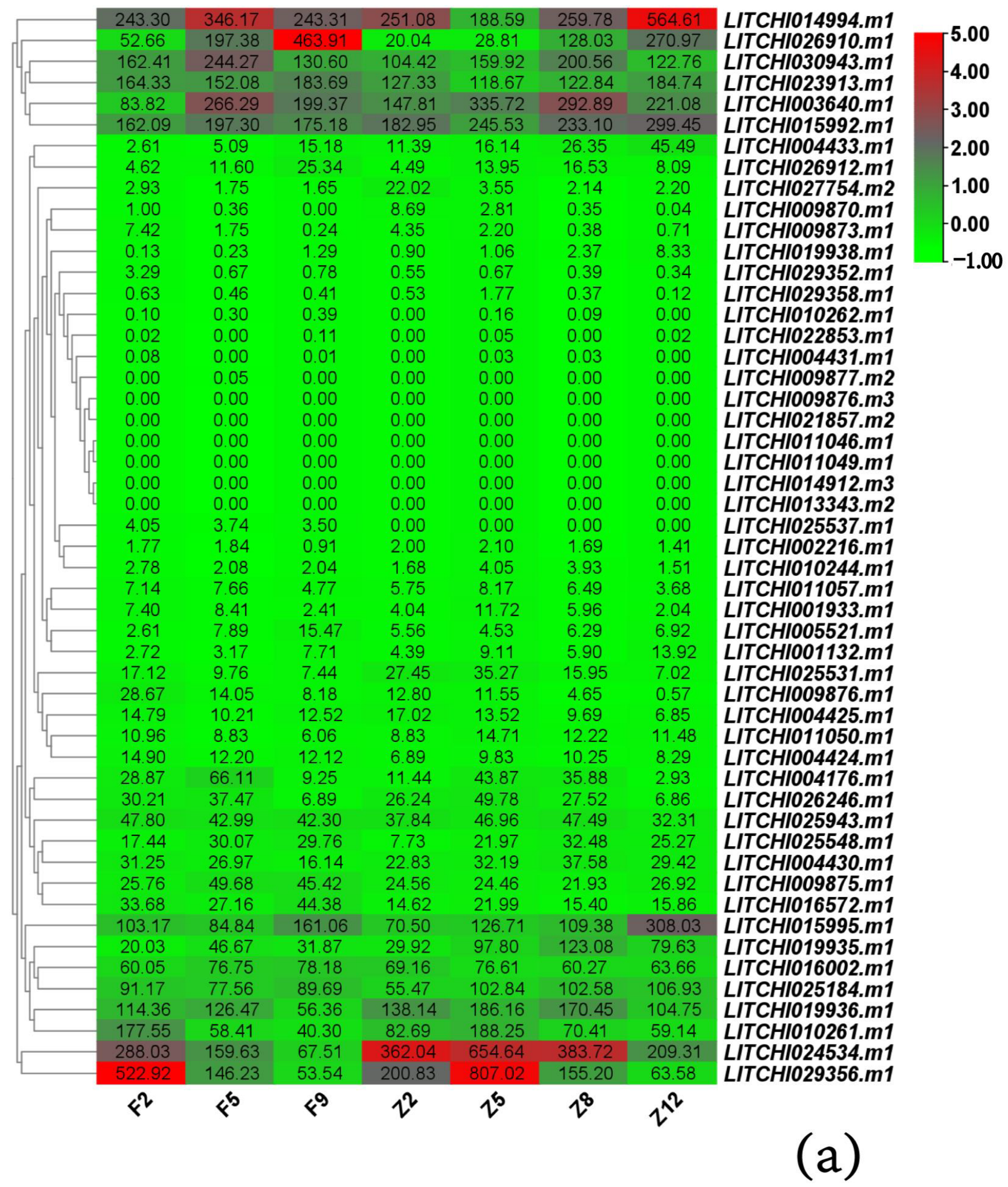 Genes 15 00757 g008a
