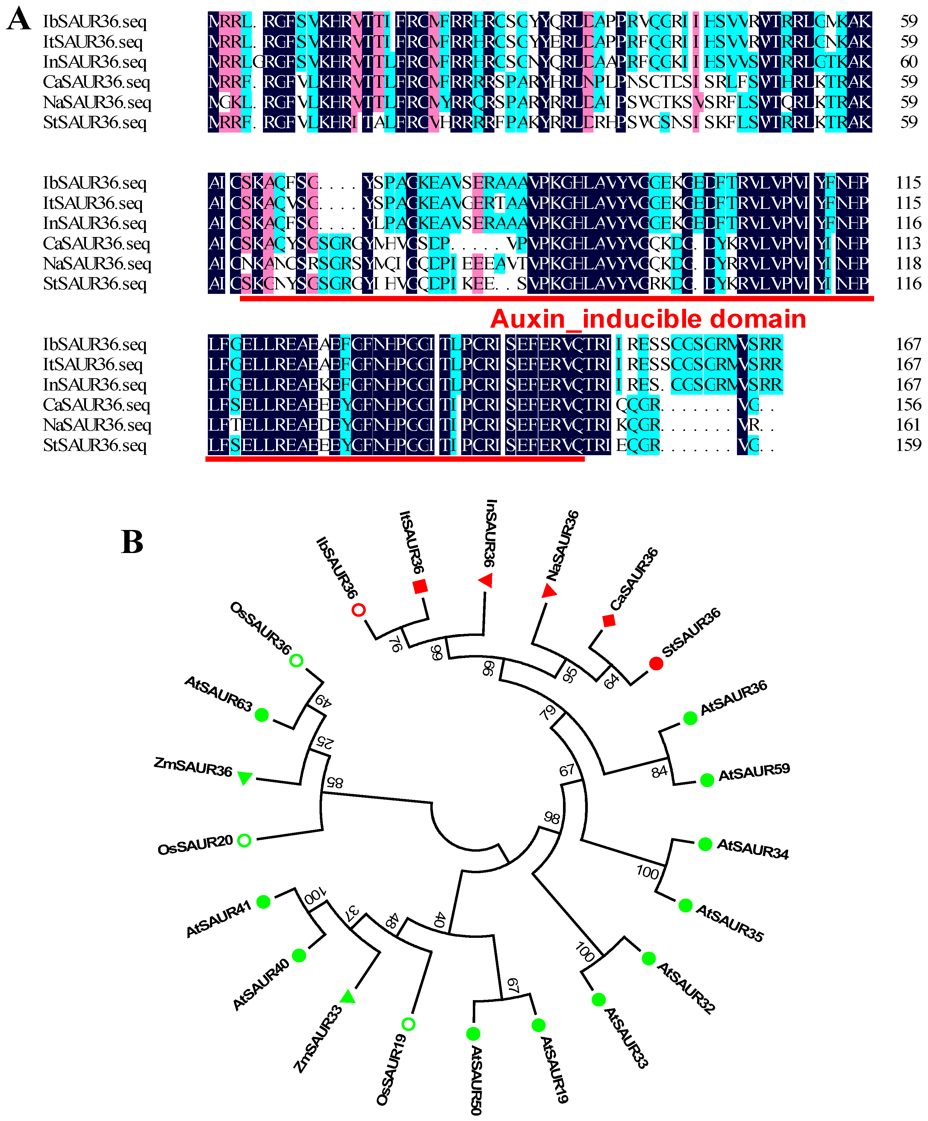 Genes 15 00760 g001