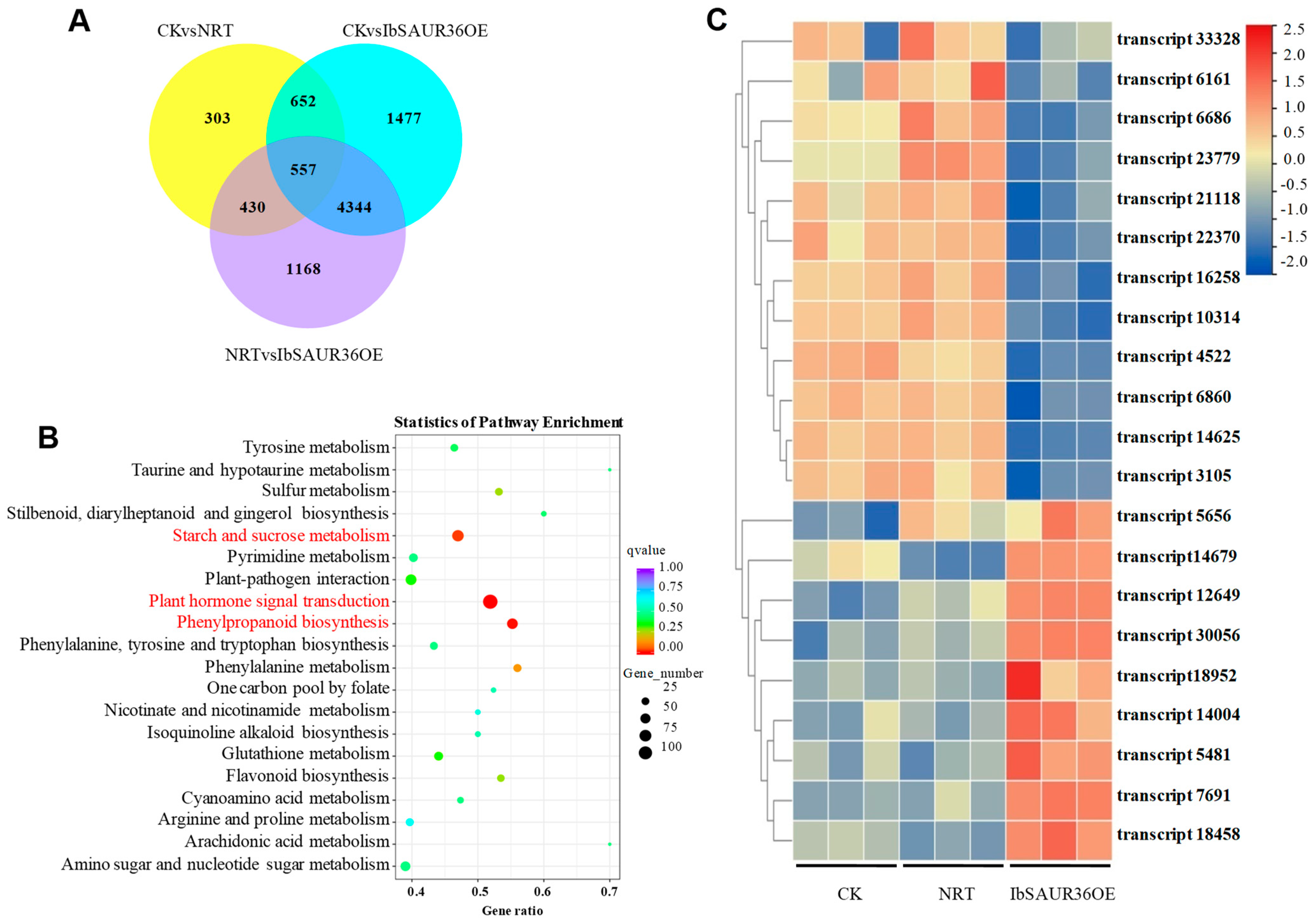Genes 15 00760 g005