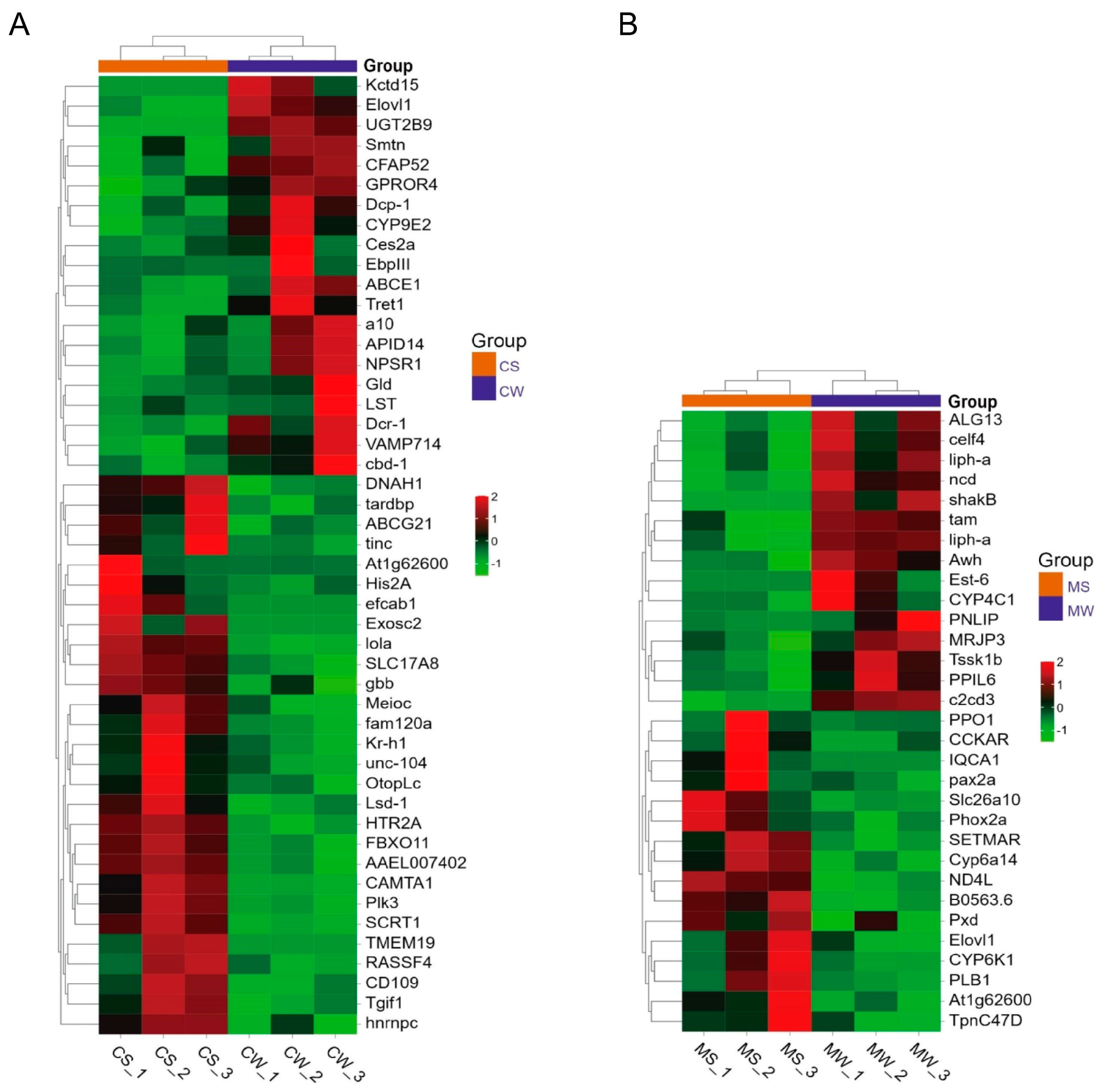 Genes 15 00763 g003