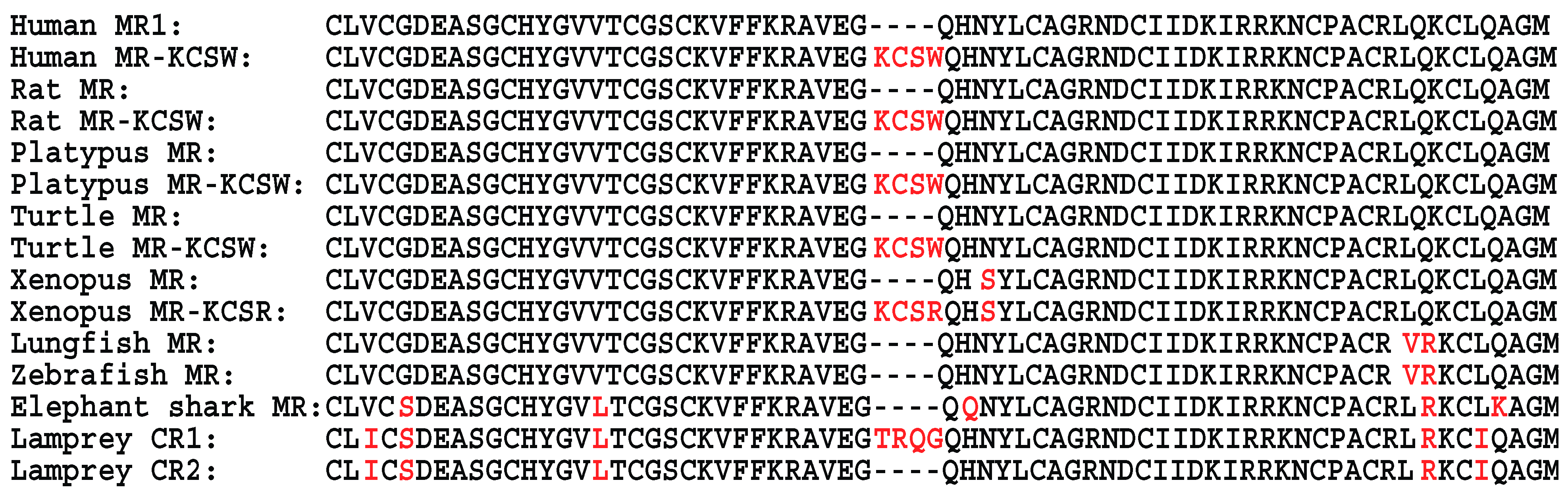 Genes 15 00767 g001