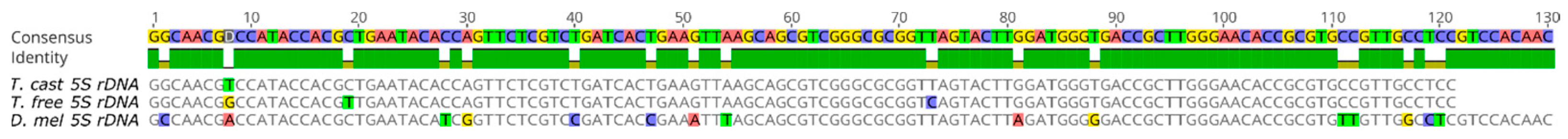 Genes 15 00776 g001