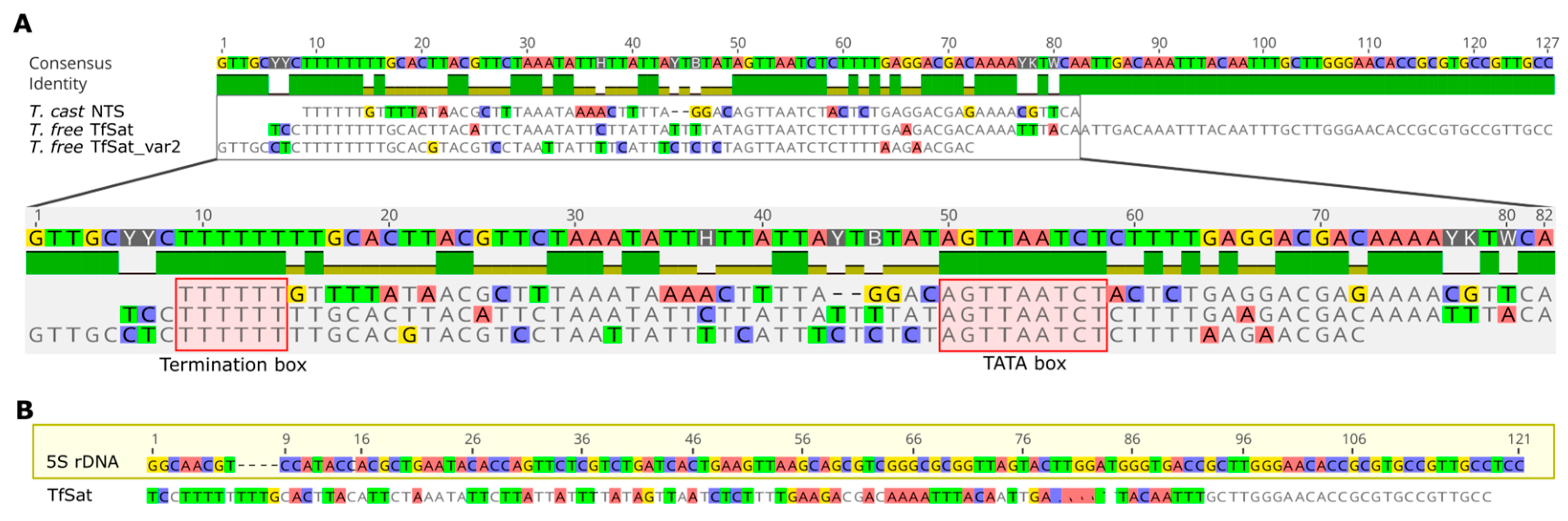 Genes 15 00776 g005