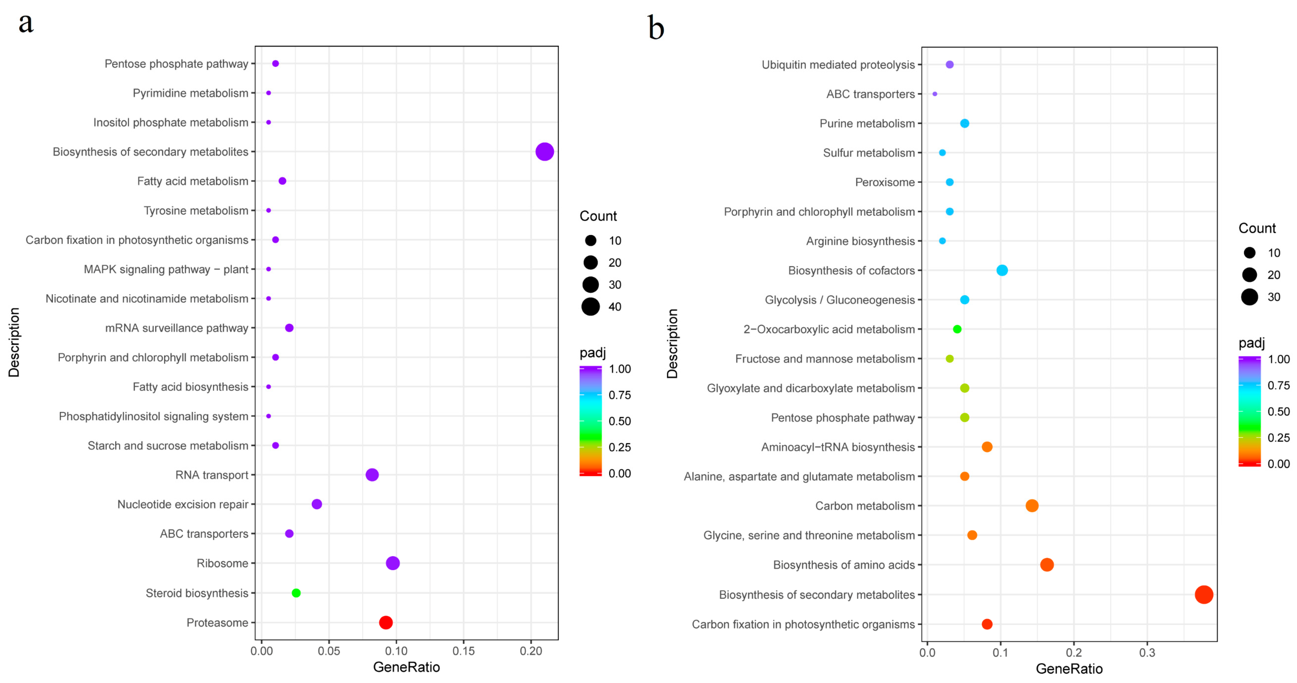 Genes 15 00781 g005