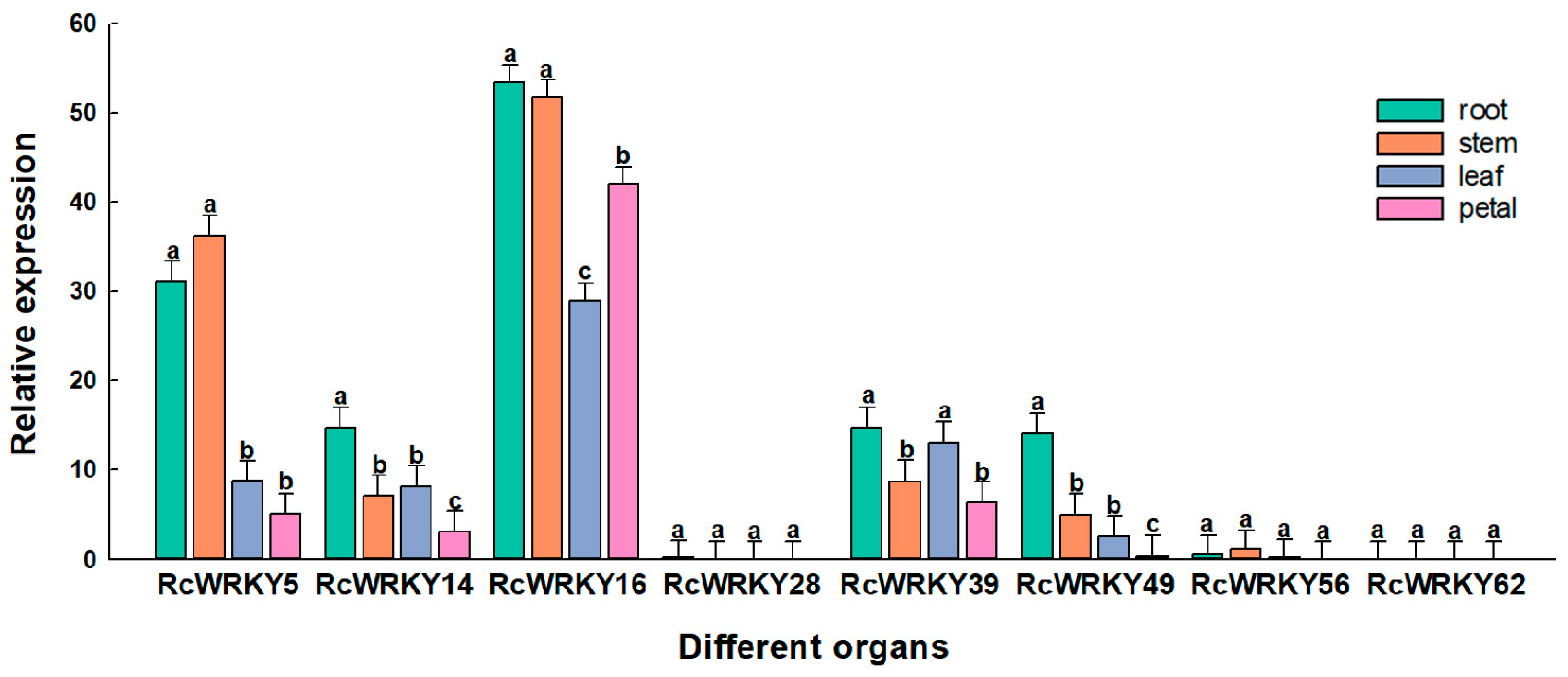 Genes 15 00800 g007