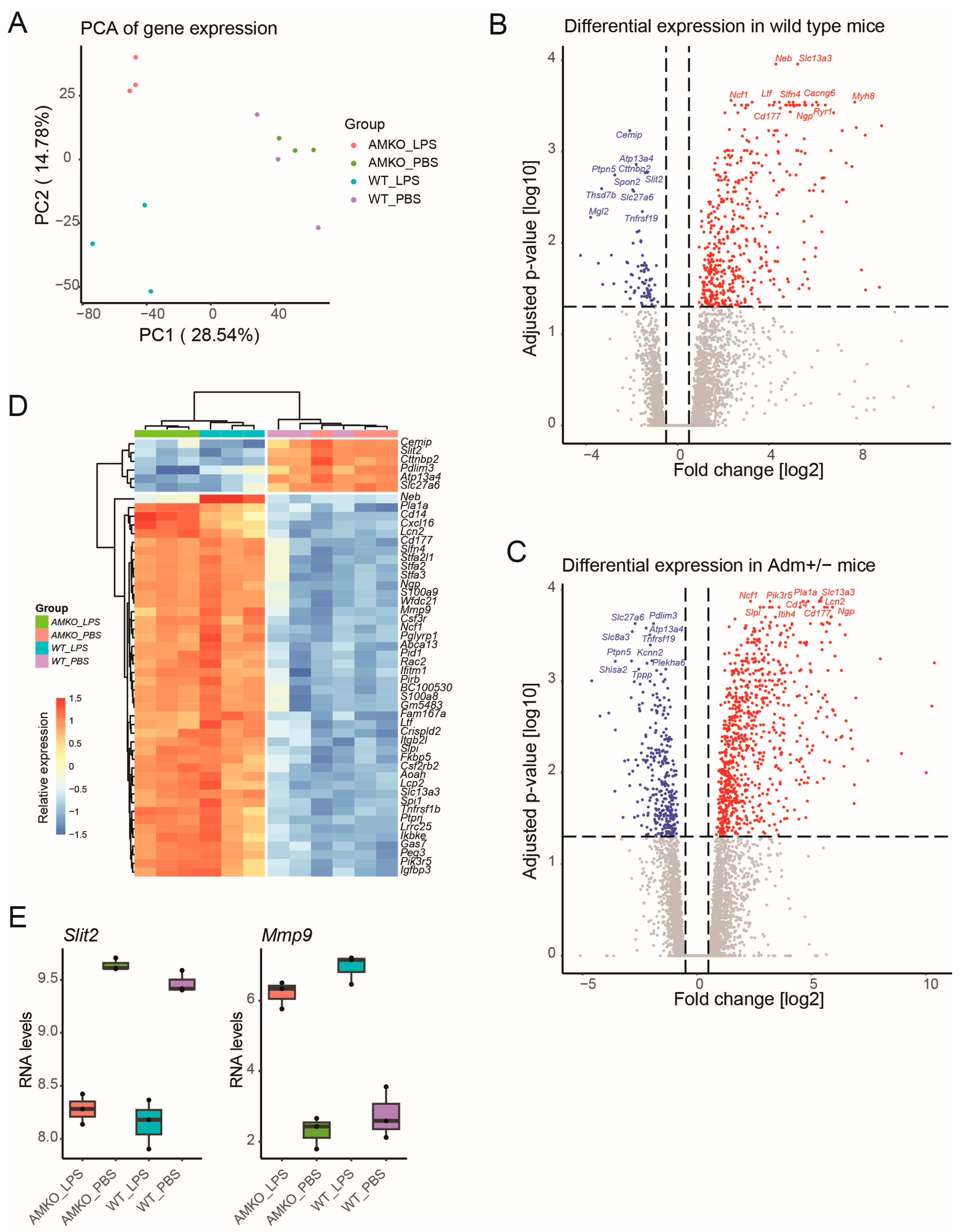 Genes 15 00806 g001 Genes 15 00806 g001