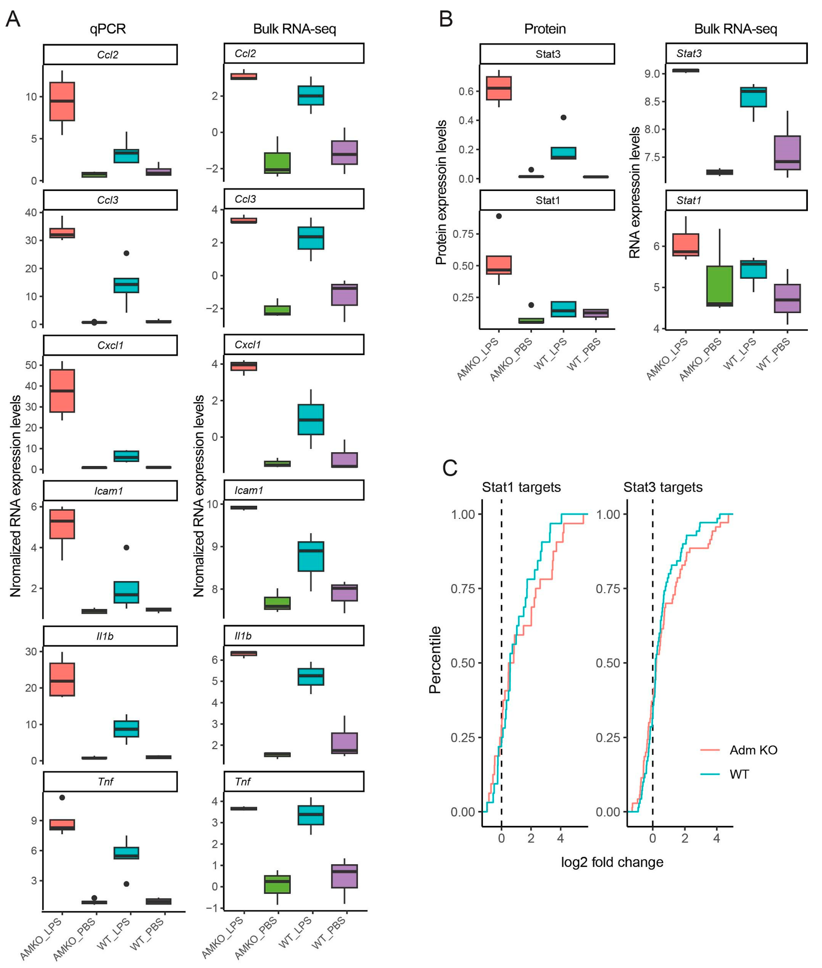 Genes 15 00806 g002 Genes 15 00806 g002