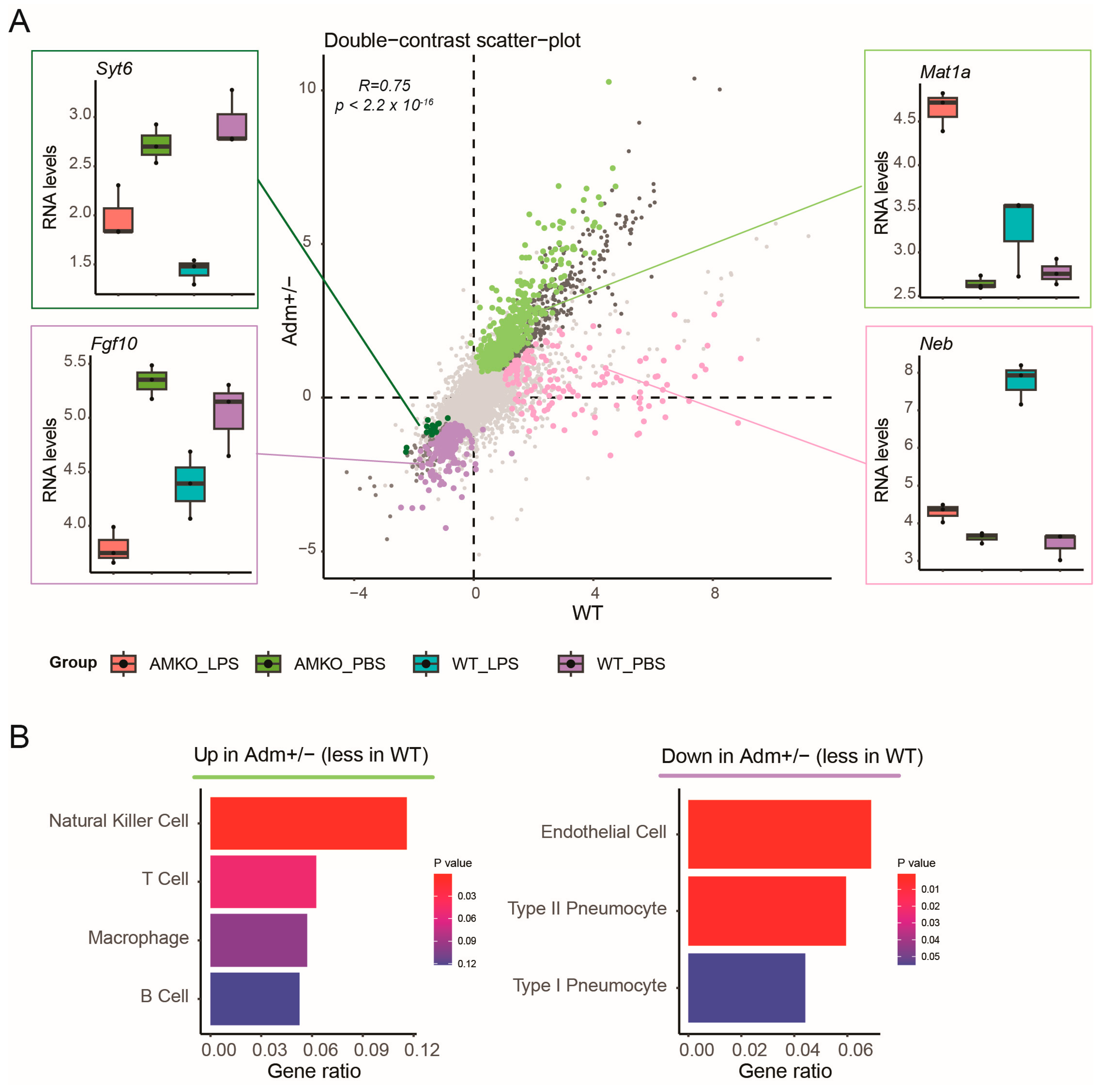 Genes 15 00806 g003 Genes 15 00806 g003